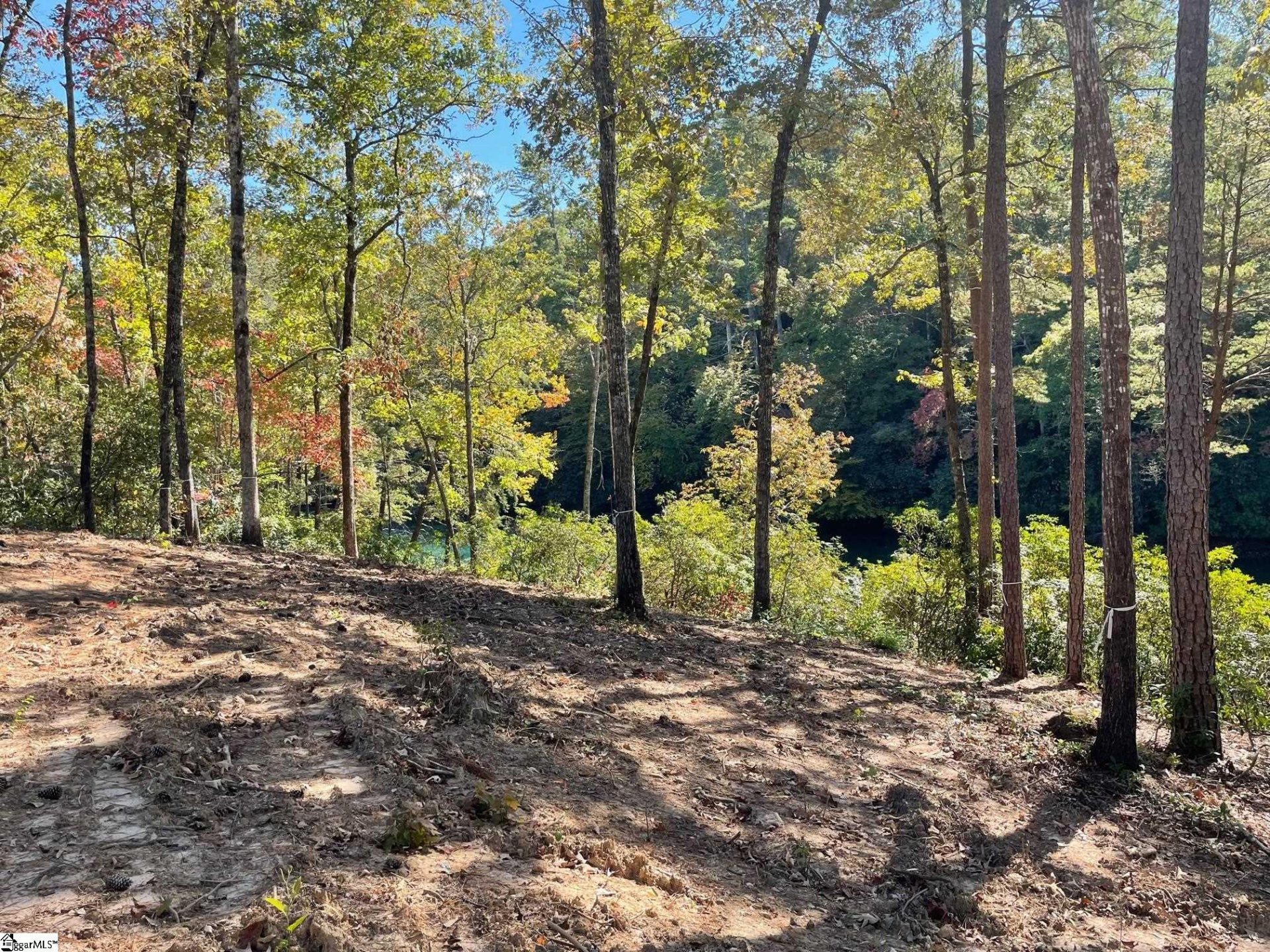 Property image 1 at 516 Old Chapman Bridge Road, Salem, SC 29676
