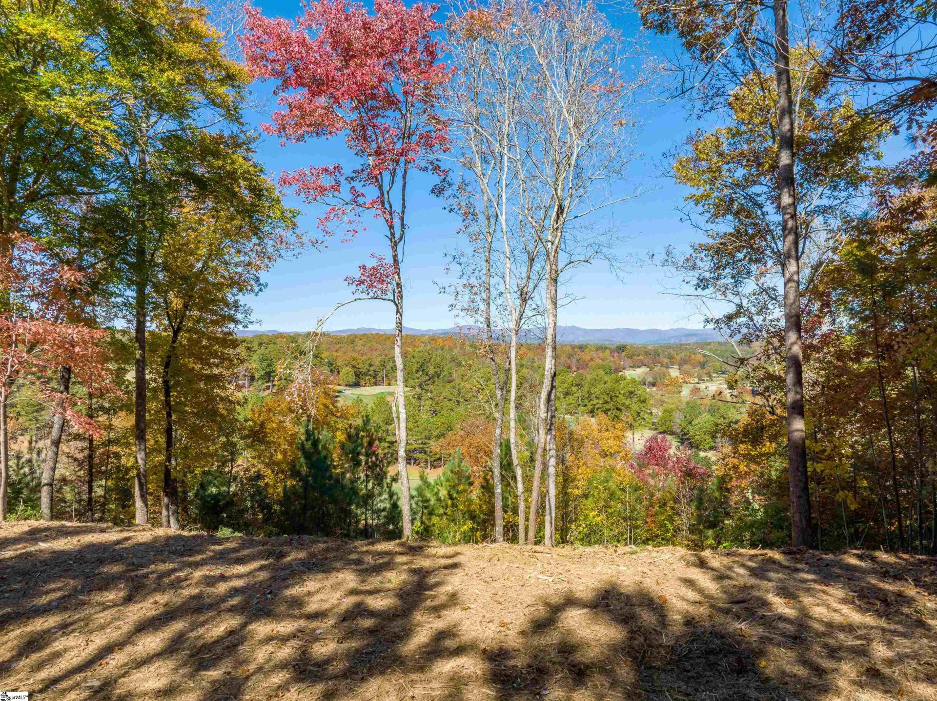 Property image 1 at 00 Eagle Ridge Way, Salem, SC 29676