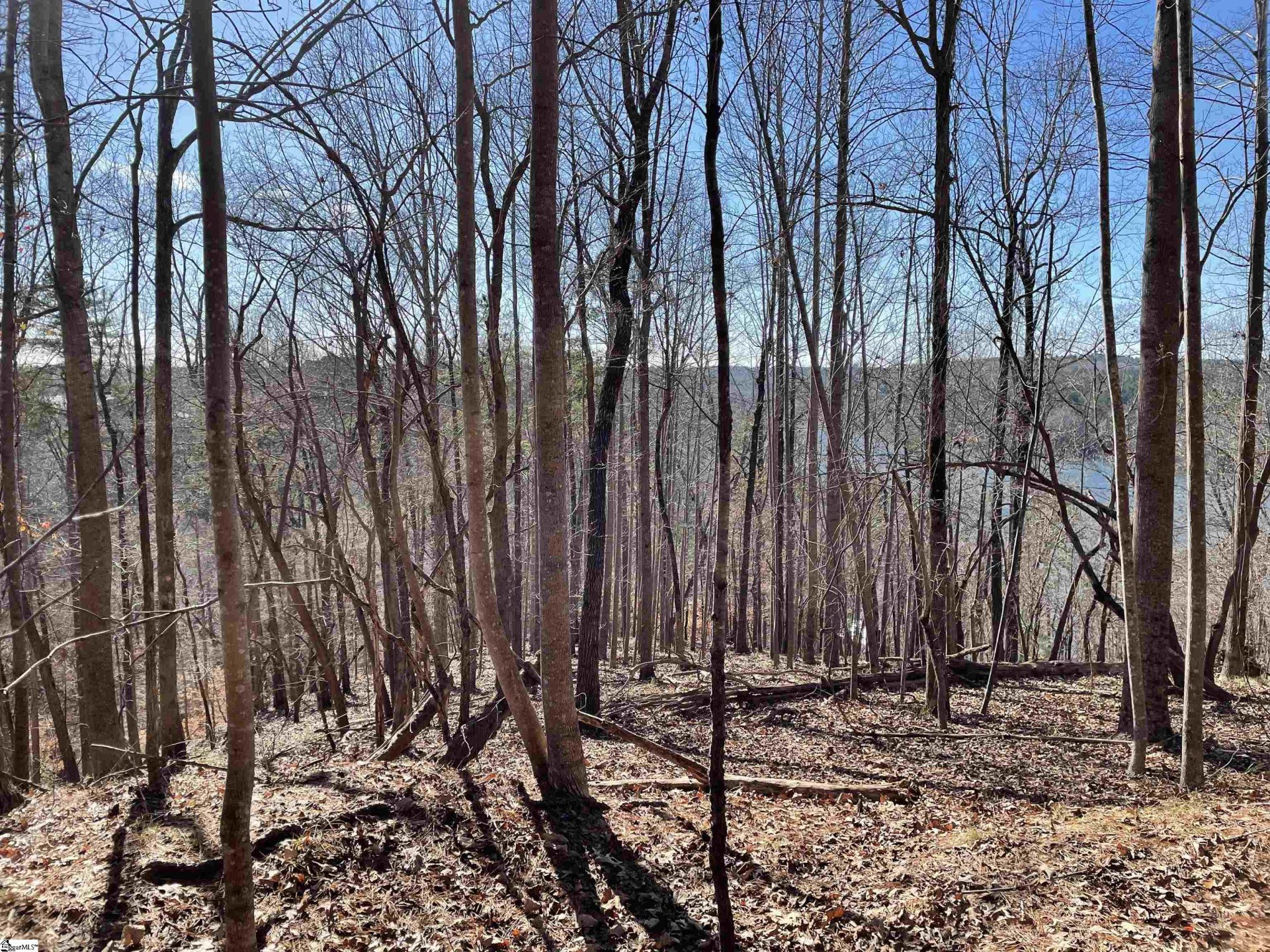 Property image 1 at 711 Top Ridge Drive, Sunset, SC 29685