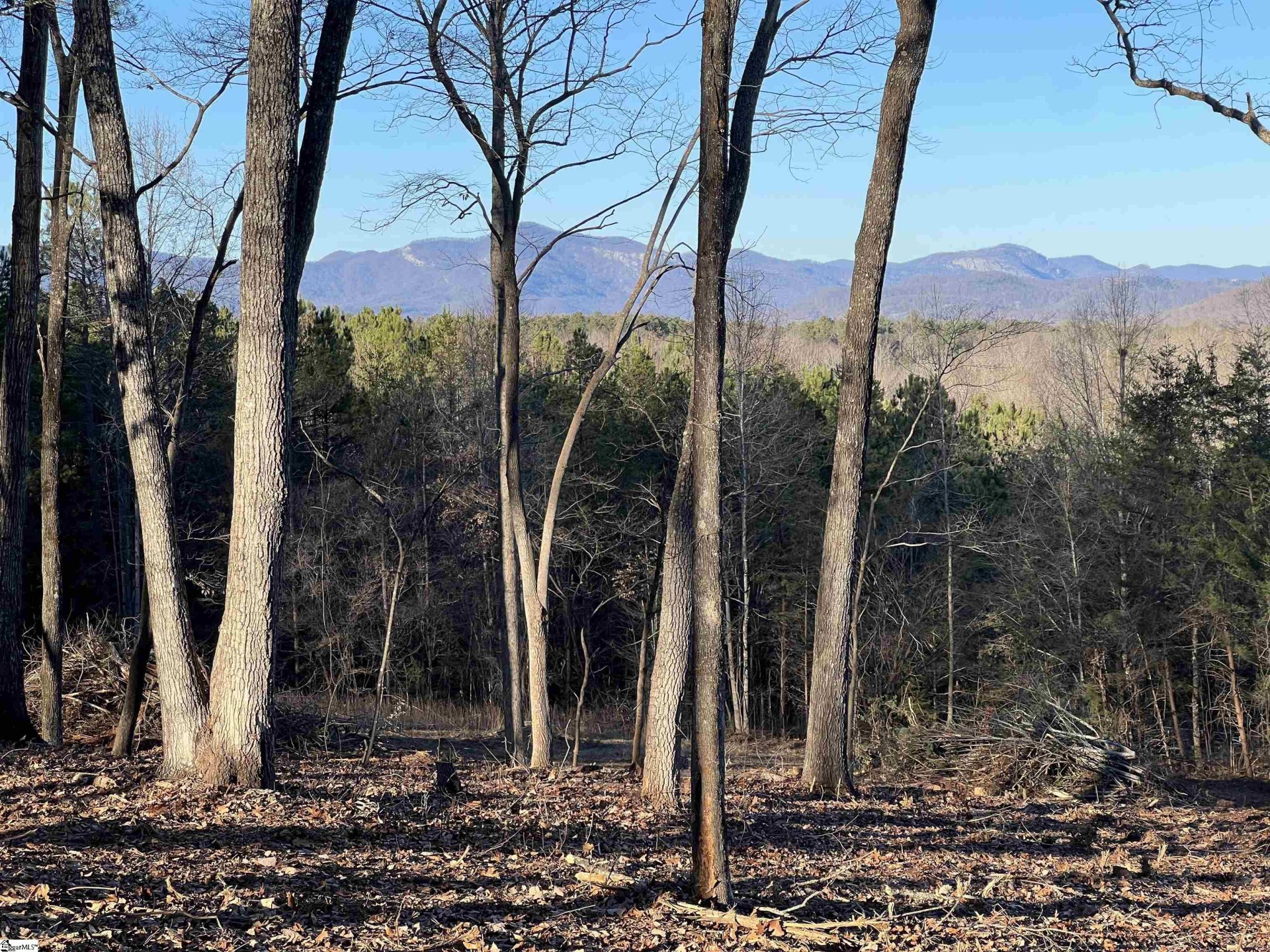 519 Hunting Hollow Drive