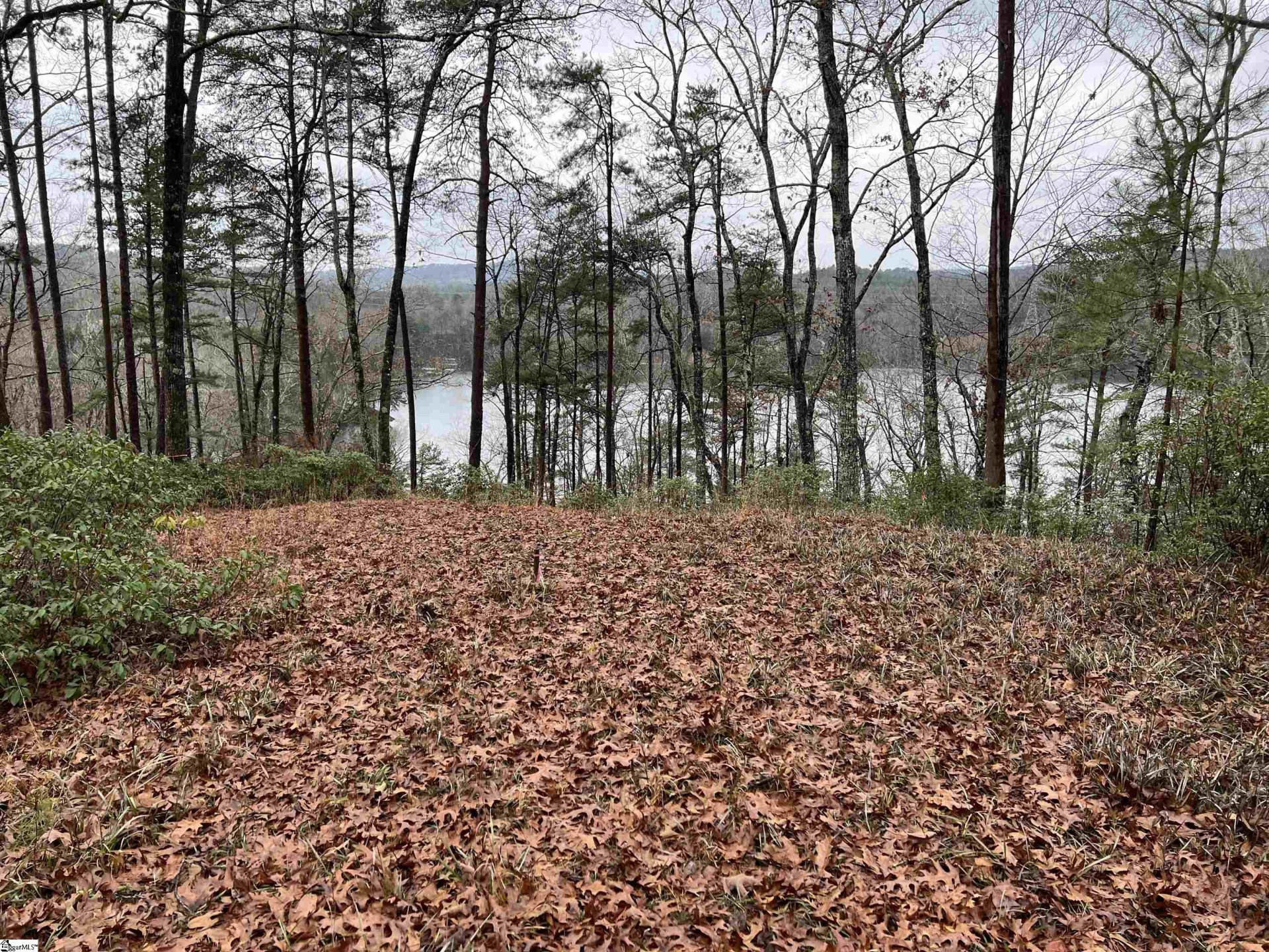 Property image 1 at 224 Buttercup Way, Sunset, SC 29685