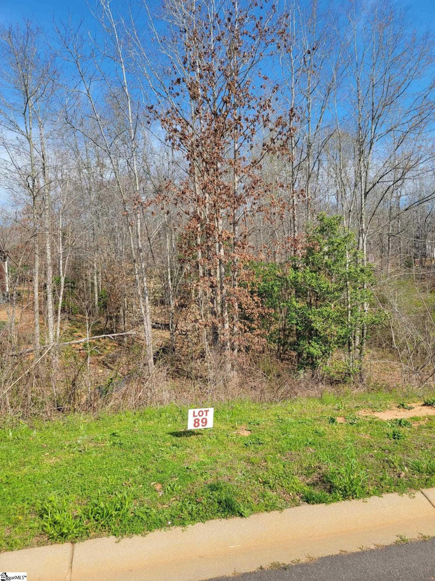 Property image 1 at 143 Nokota Drive, Pelzer, SC 29669