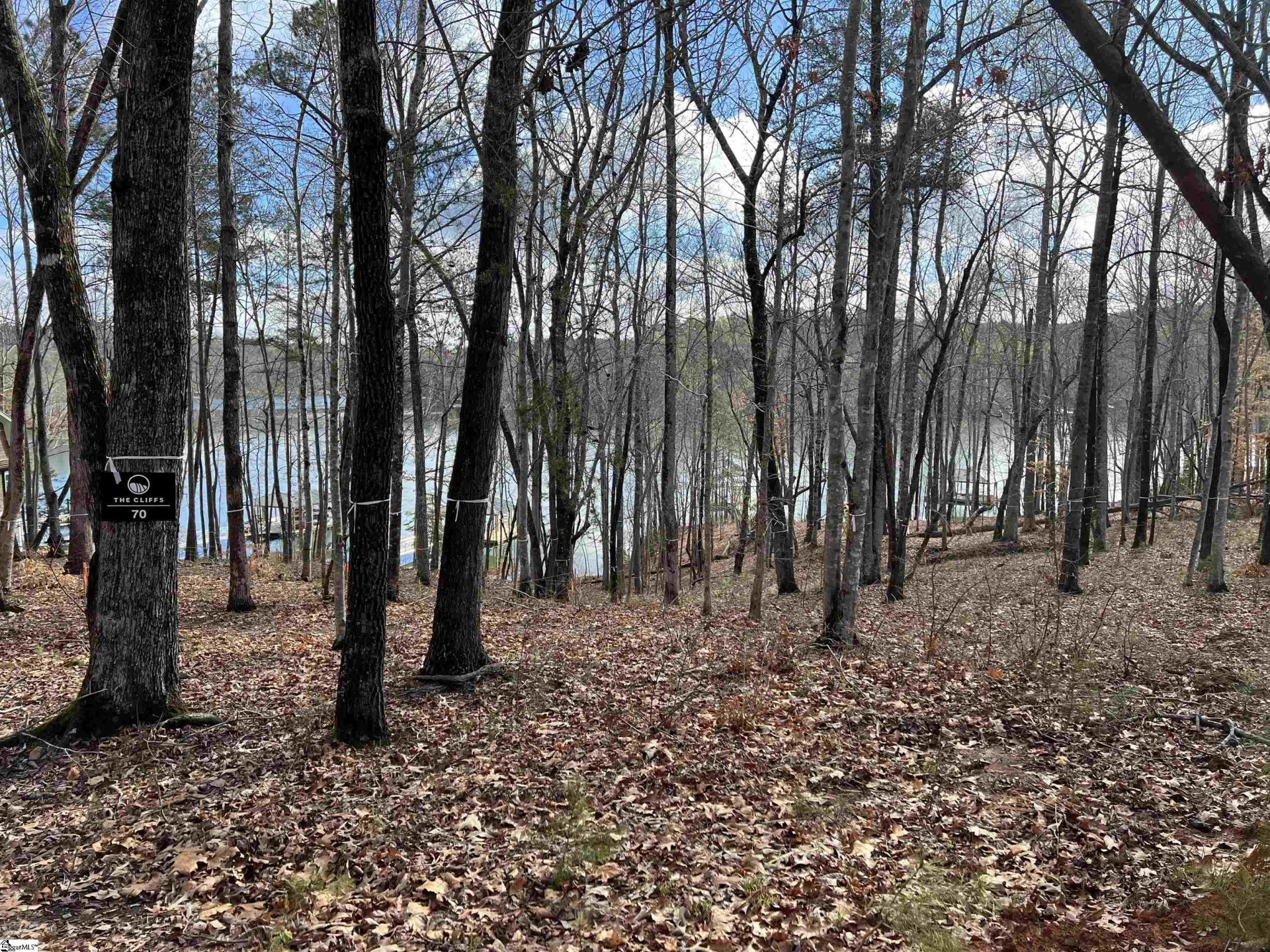 Property image 1 at 101 Sailview Court, Six Mile, SC 29682