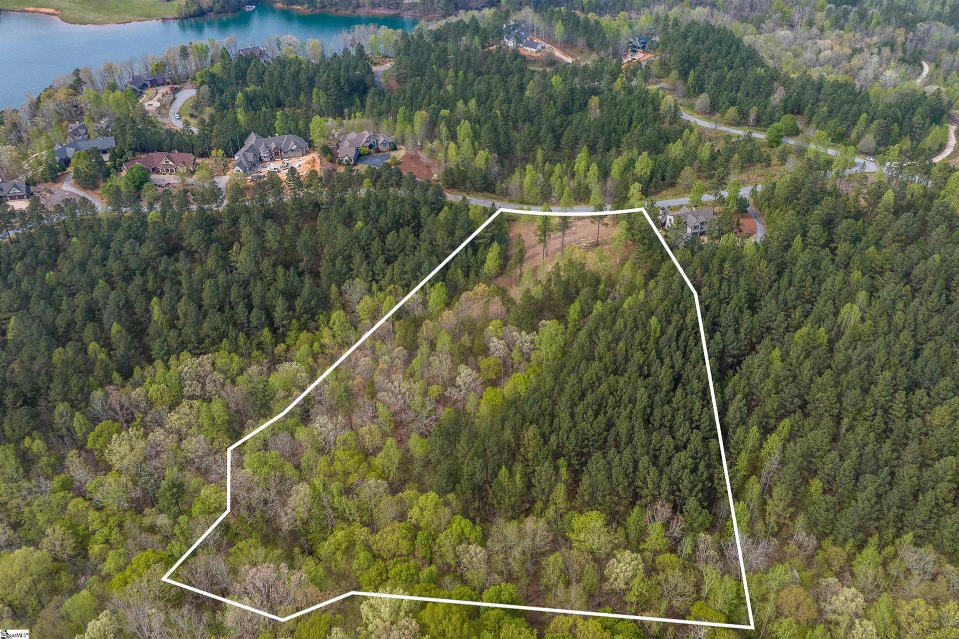 Property image 1 at 115 Hickory Springs Way, Six Mile, SC 29682