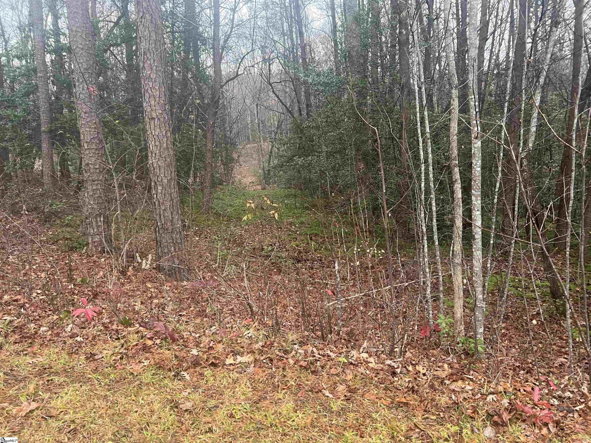 Property image 1 at 11 River Rock Court, Cleveland, SC 29635