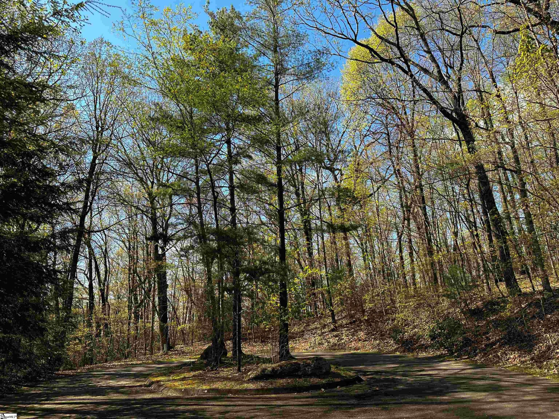 273 Delphinium Court