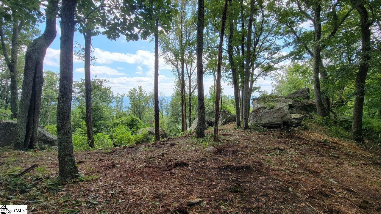 Property at 12 Drift Away Lane, Landrum, SC 29356