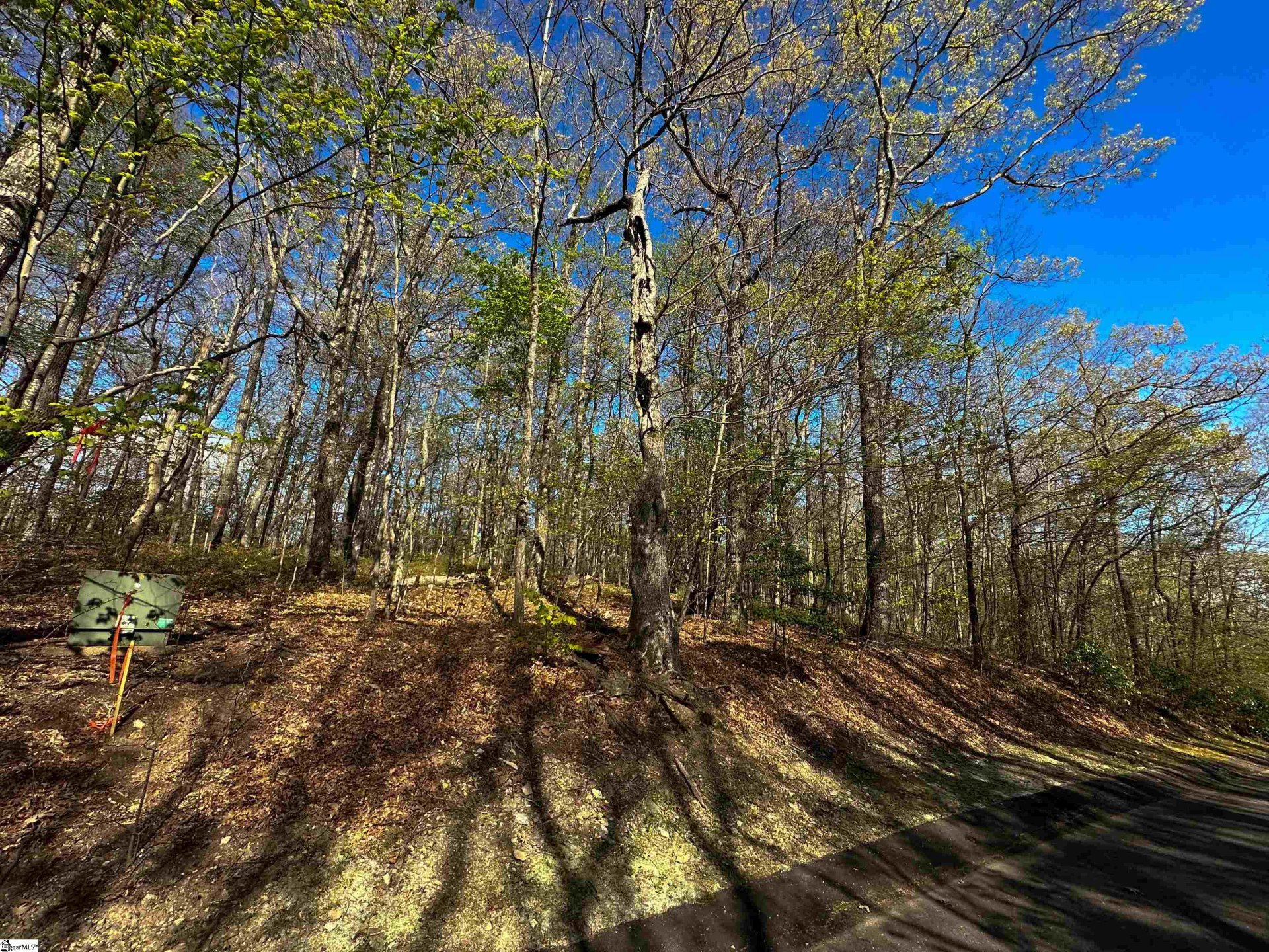 Property image 1 at 376 Sourwood Lane, Cleveland, SC 29635