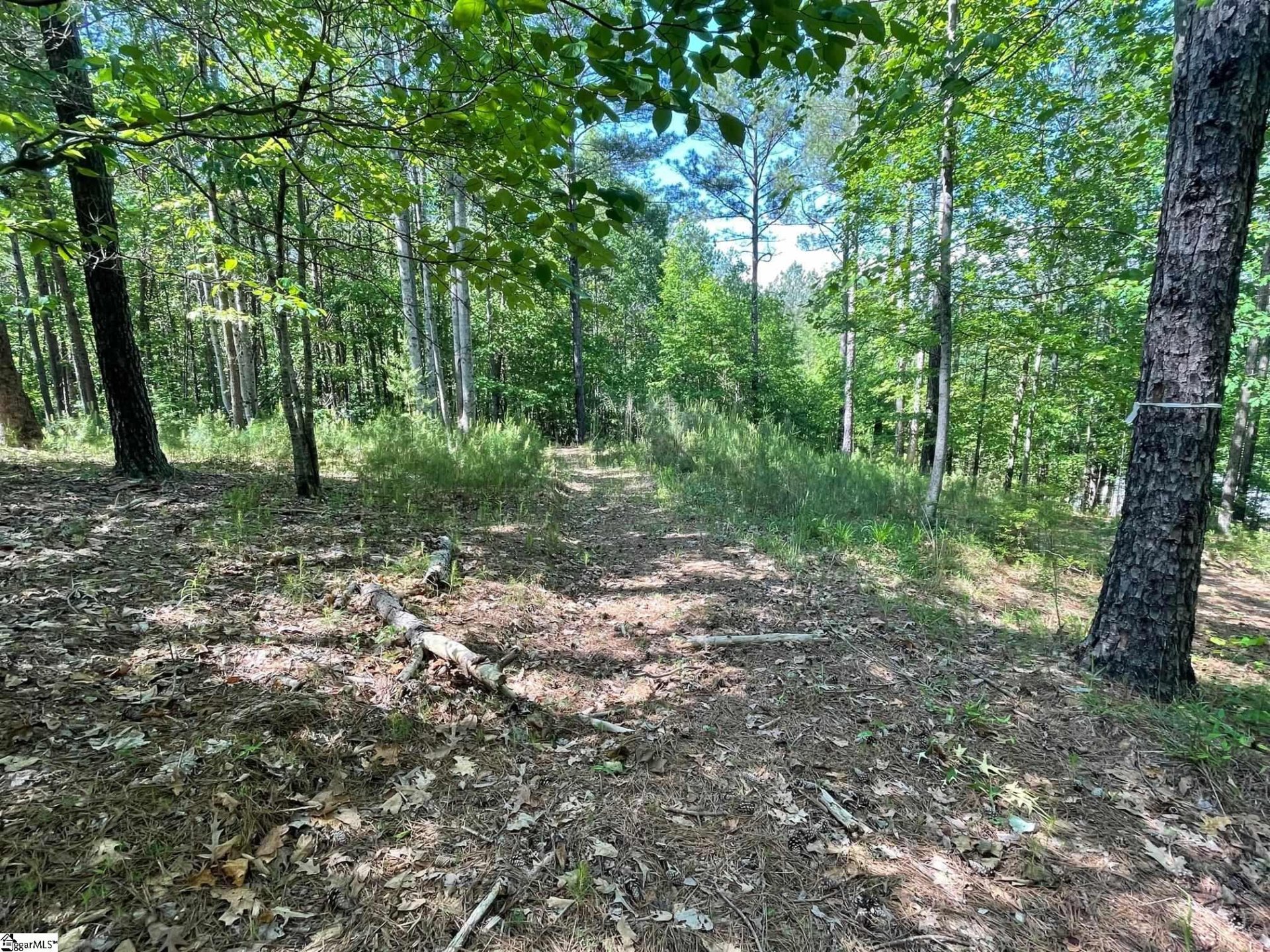 Property image 1 at 196 Creek Stone Court, Six Mile, SC 29682