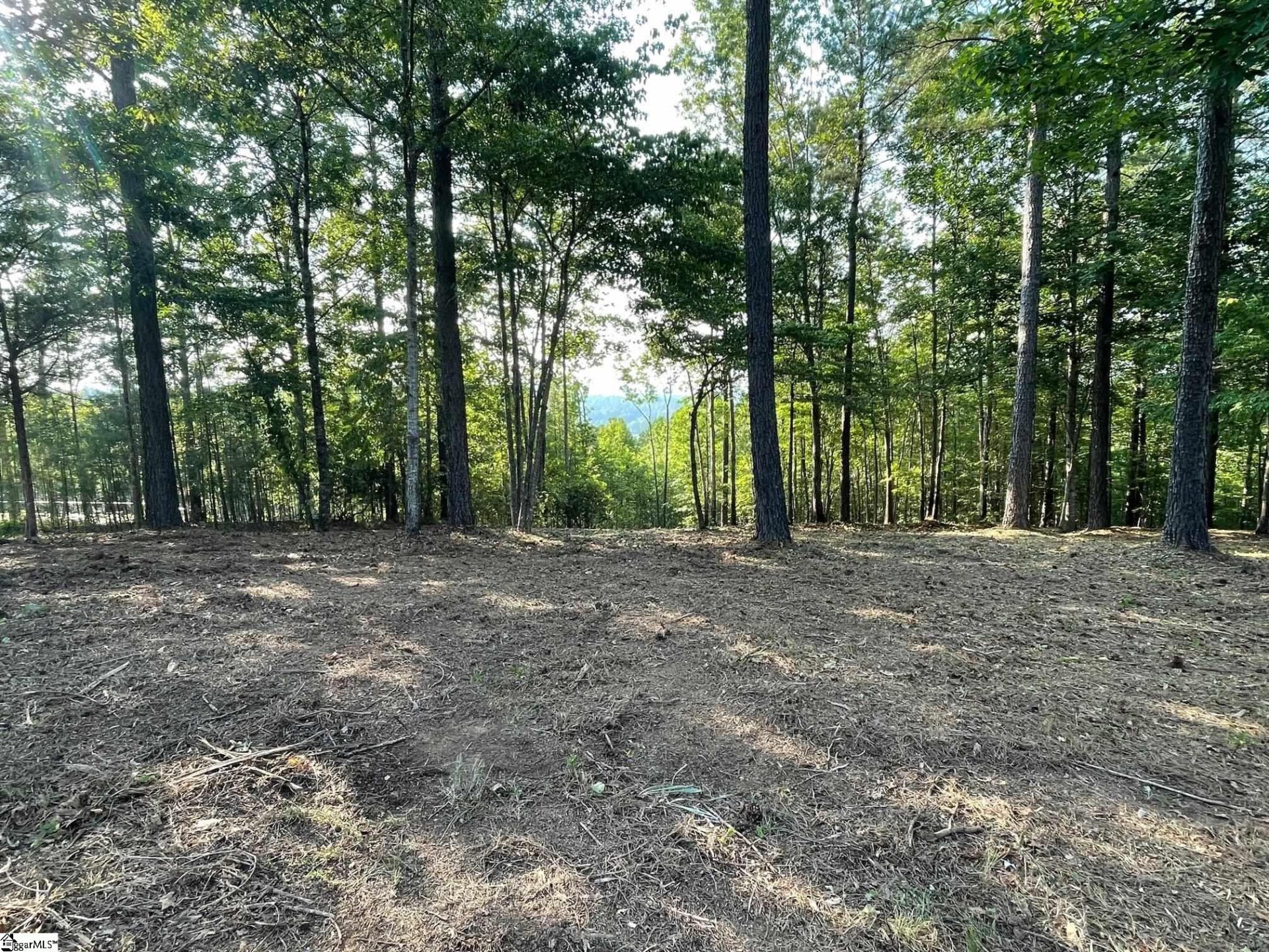 HR61 Cliffs South Parkway