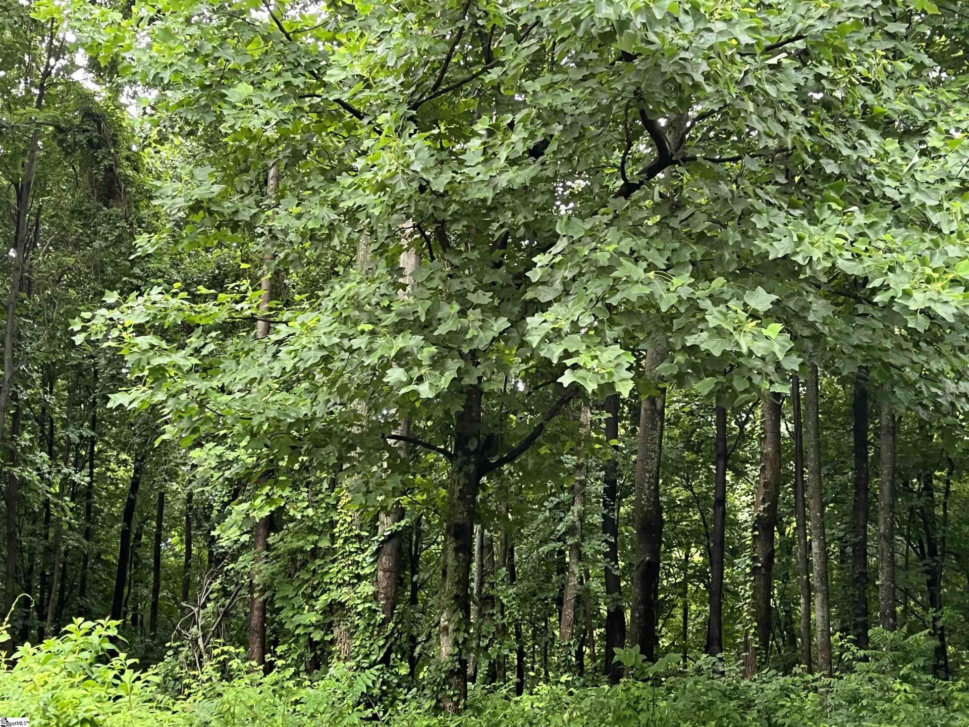 Property at 280 Foggy Cut Lane, Landrum, SC 29356