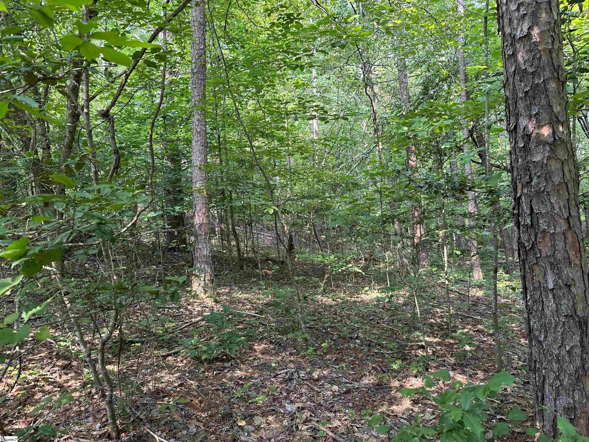 Property image 1 at 000 Yellowood Drive, Seneca, SC 29672