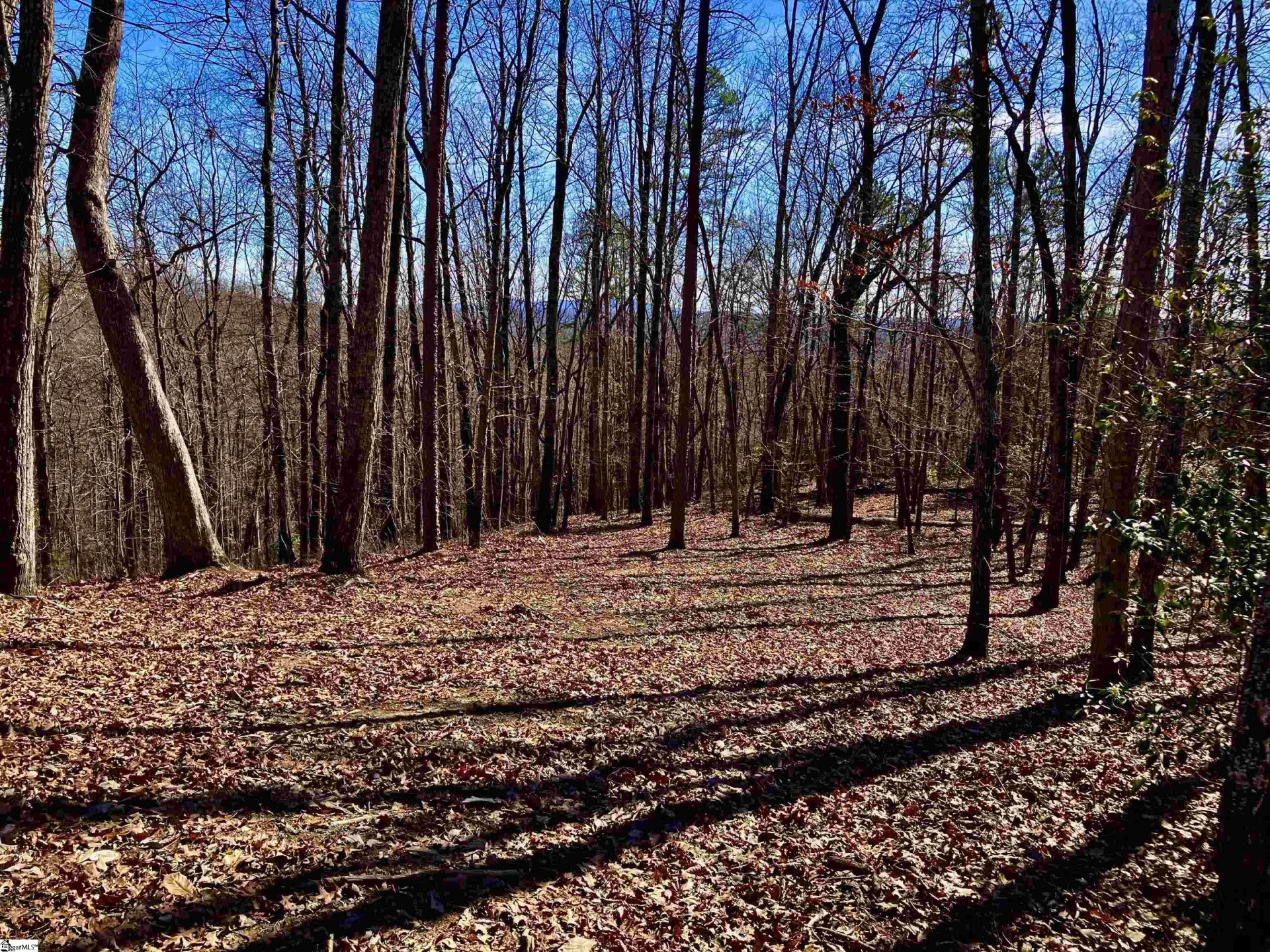 Property at 25 Cherokee Rose Trail, Marietta, SC 29661