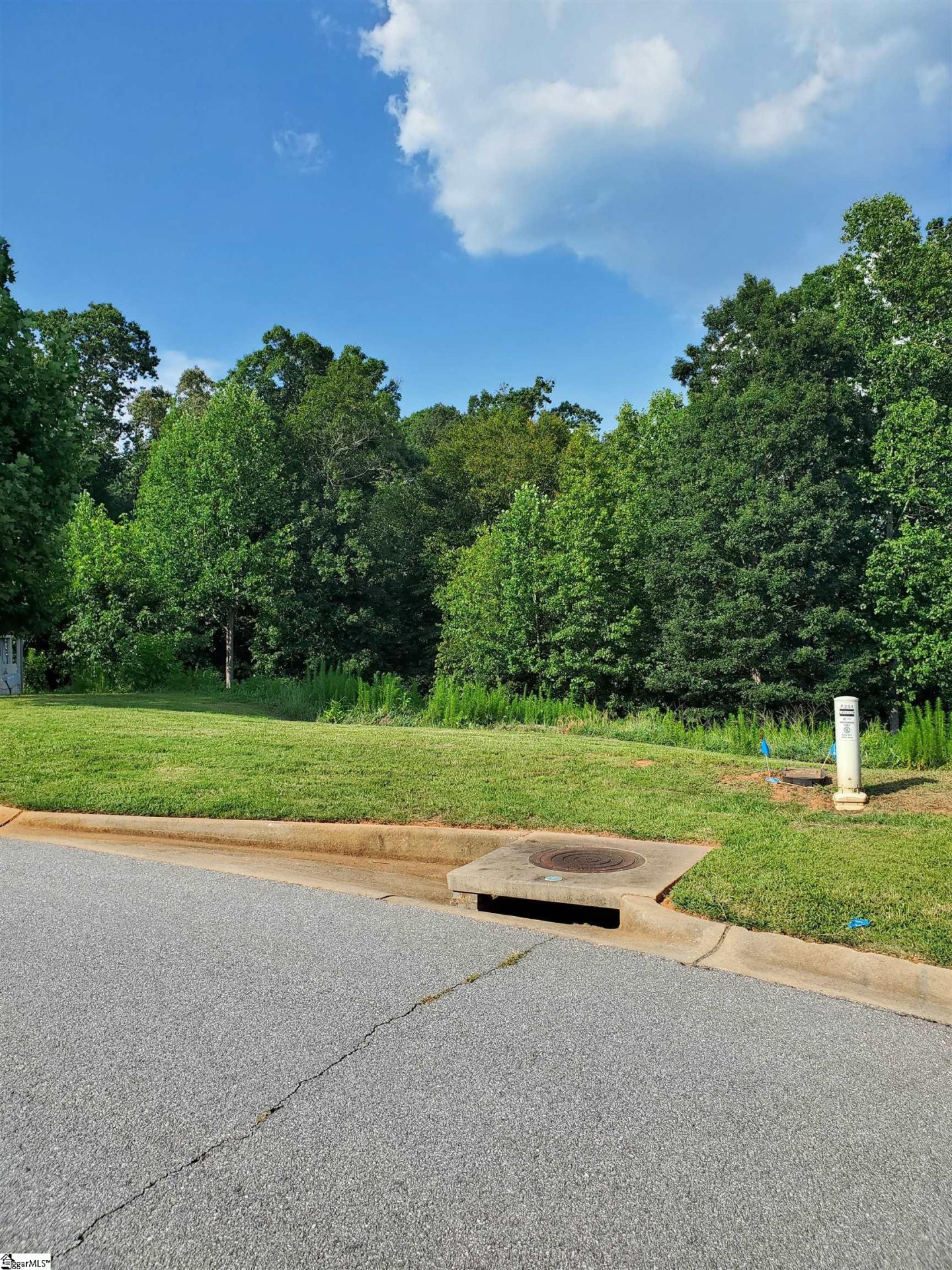 Property image 1 at 247 Chickadee Trail, Easley, SC 29642