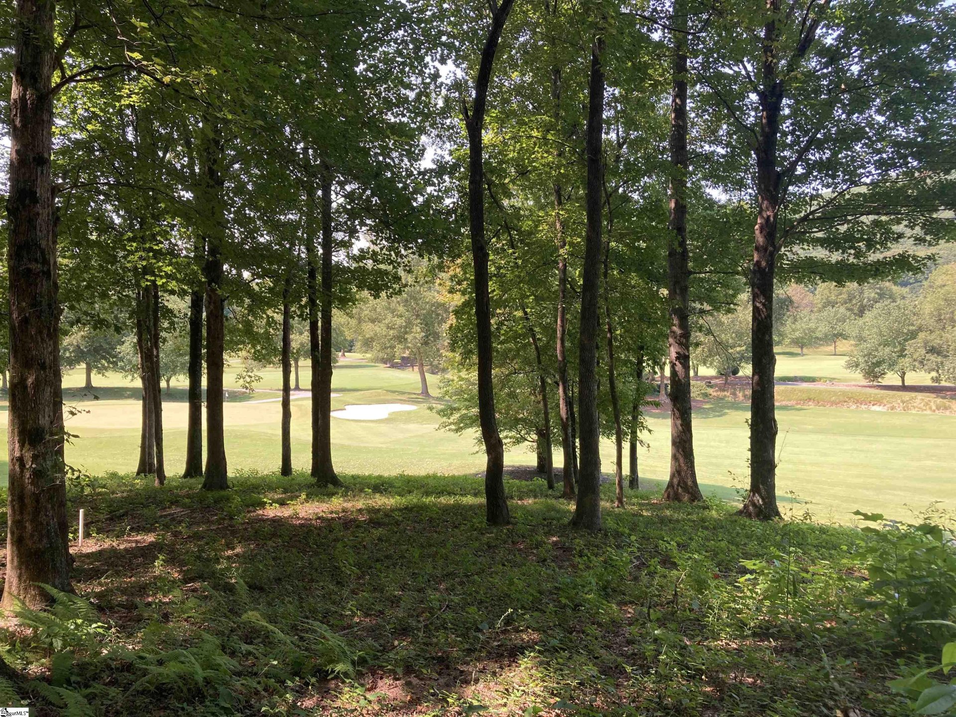 Property at 113 Foxboro Road, Travelers Rest, SC 29690