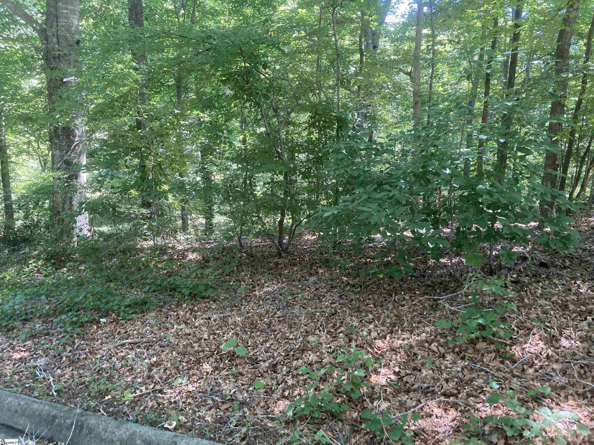 Property image 1 at 6 Mill Estates Road, Taylors, SC 29687