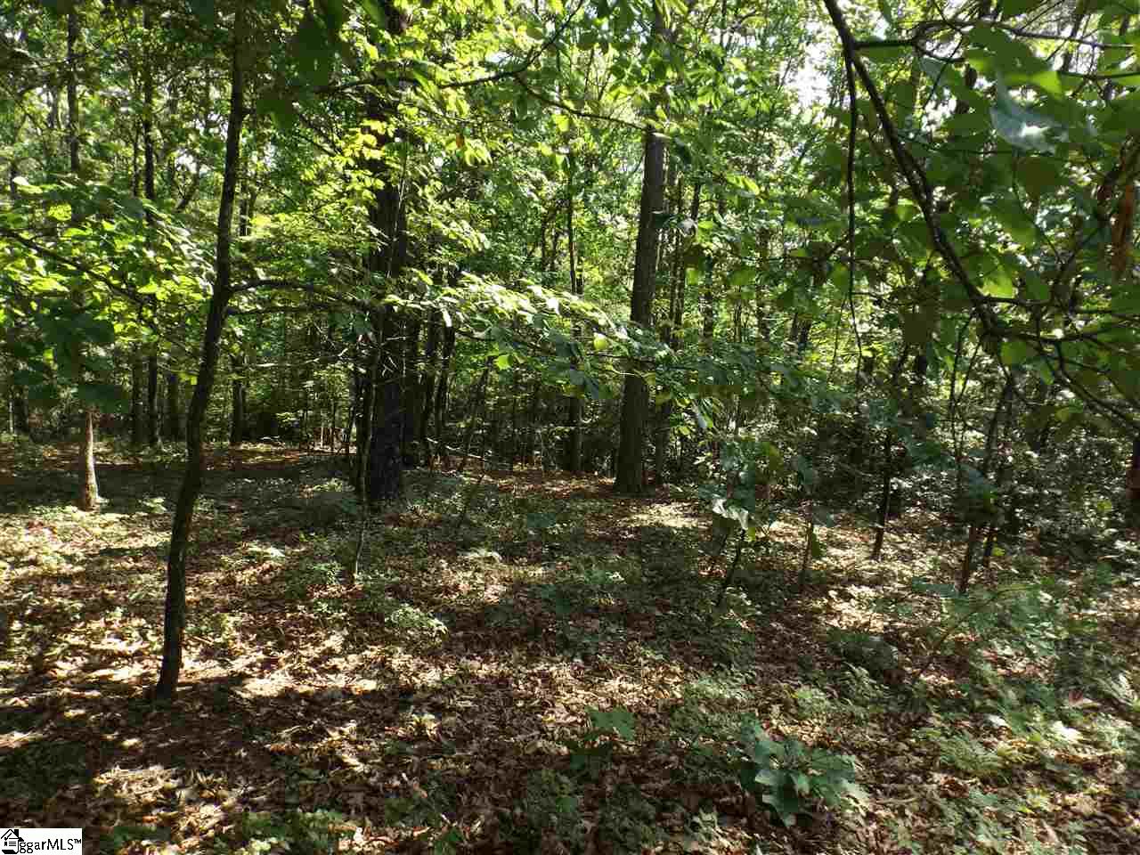 Property image 1 at 104 Bridle Drive, Cleveland, SC 29635