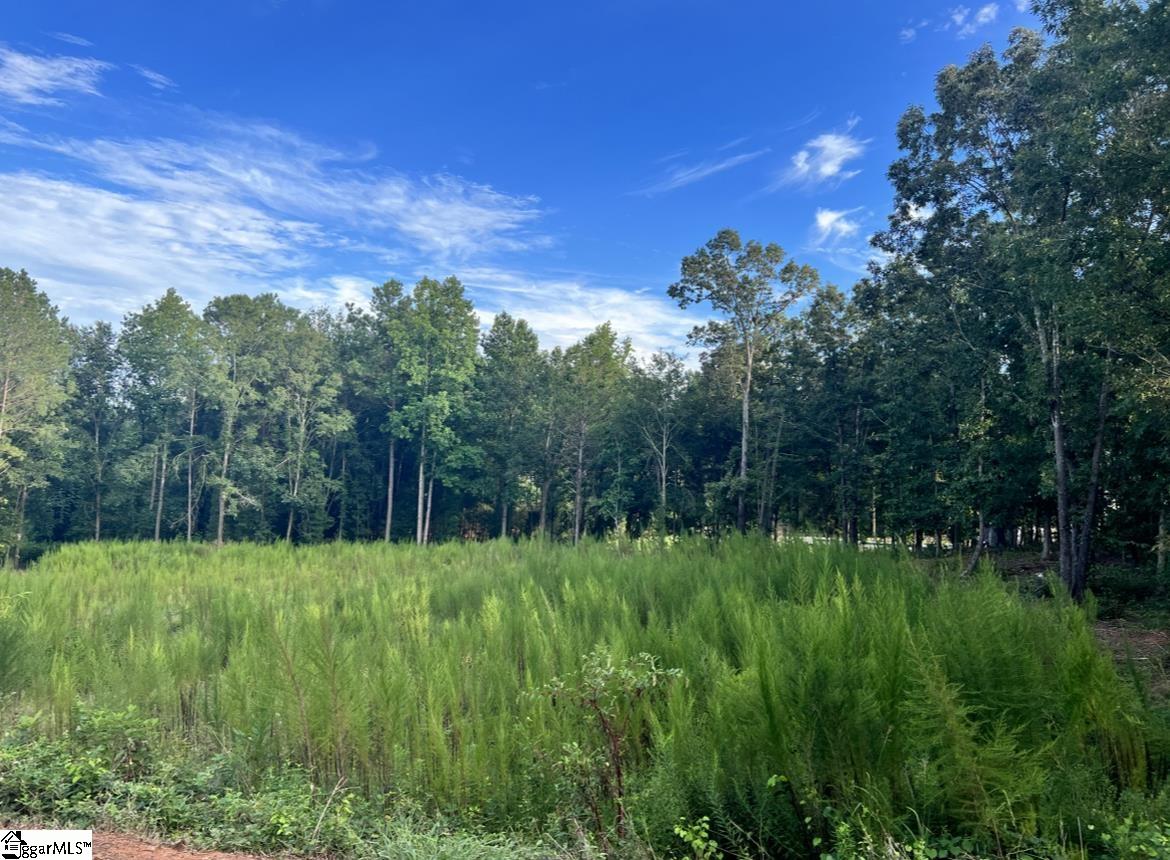 Property image 1 at 116 Loudwater Drive, Anderson, SC 29621