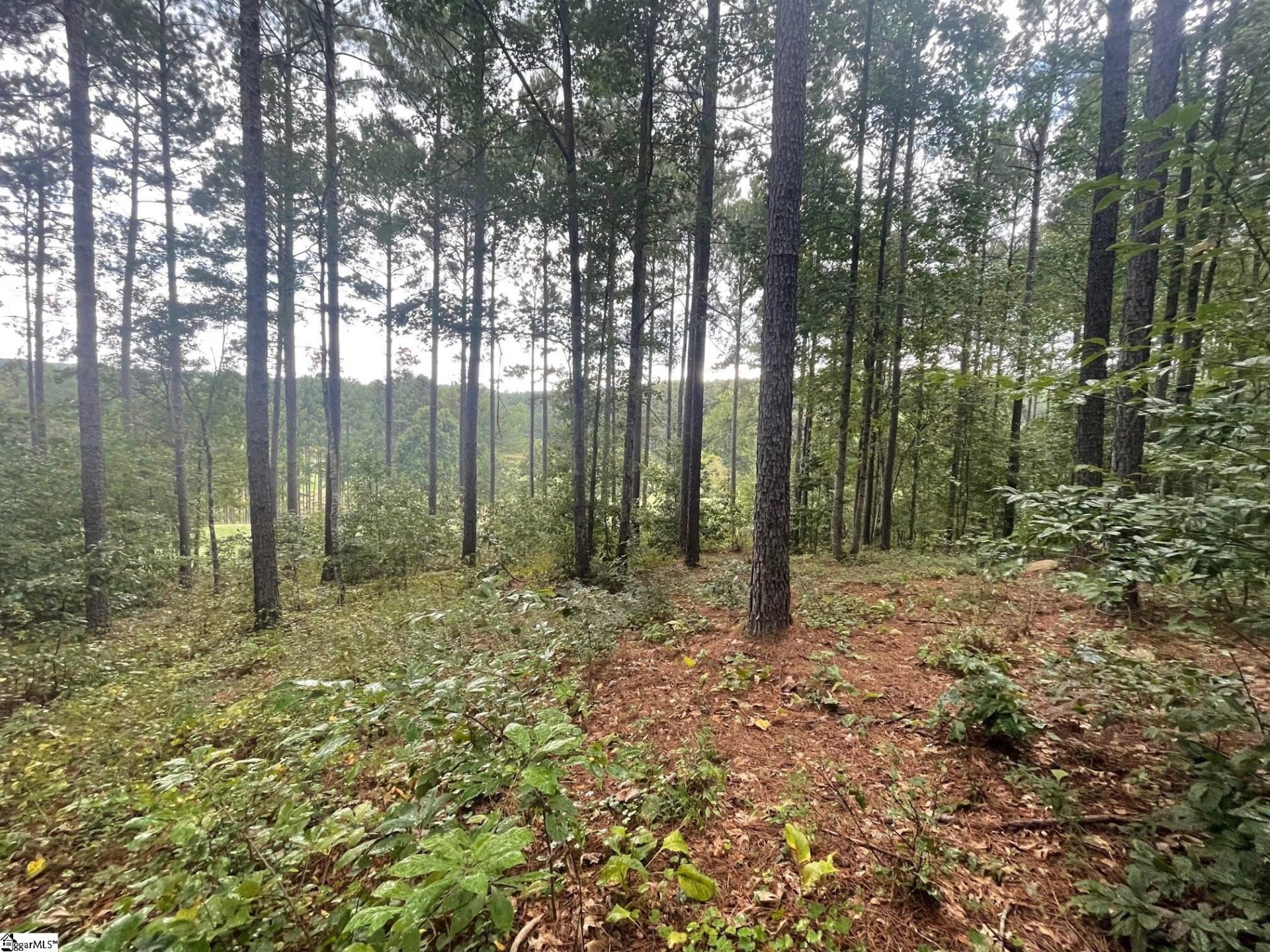 Property image 1 at 116 Long Ridge Road, Sunset, SC 29685