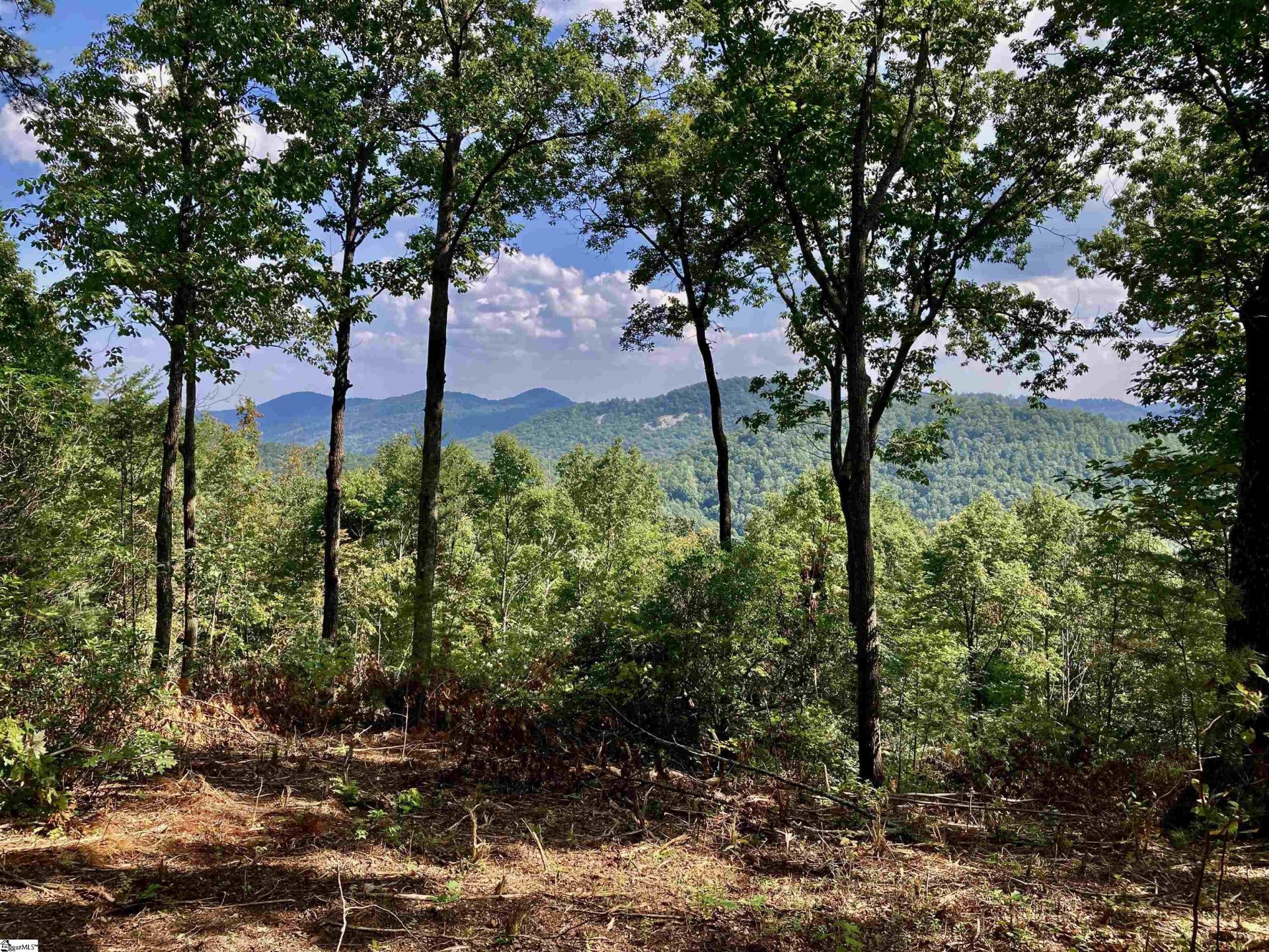 Property at 47 Mountain Oak Lane, Travelers Rest, SC 29690