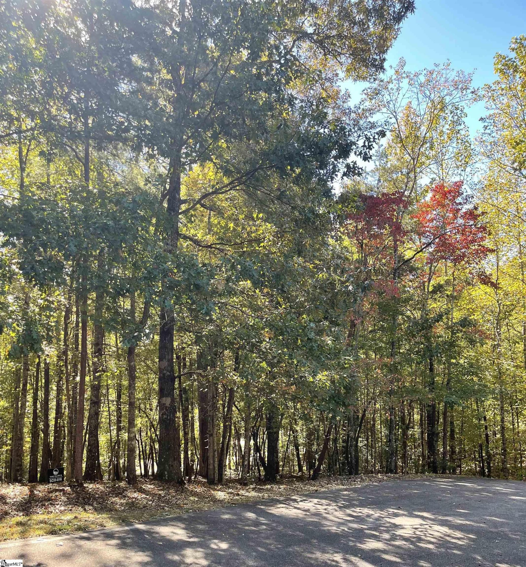Property at 221 Ridge Haven Trail, Travelers Rest, SC 29690