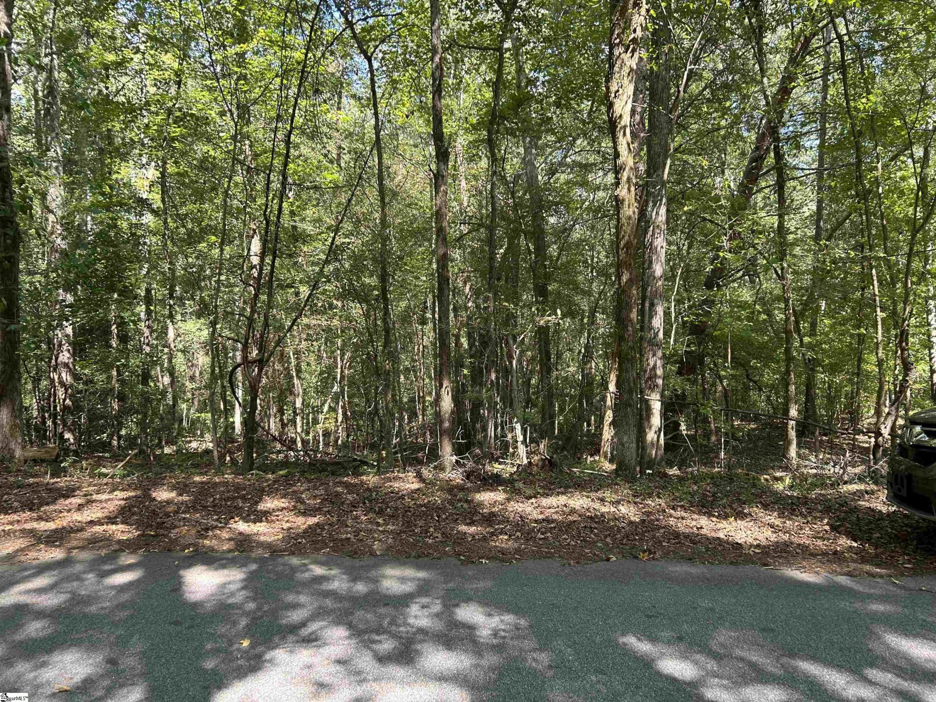 Property image 1 at 45 Burdett Mill Road, Piedmont, SC 29673