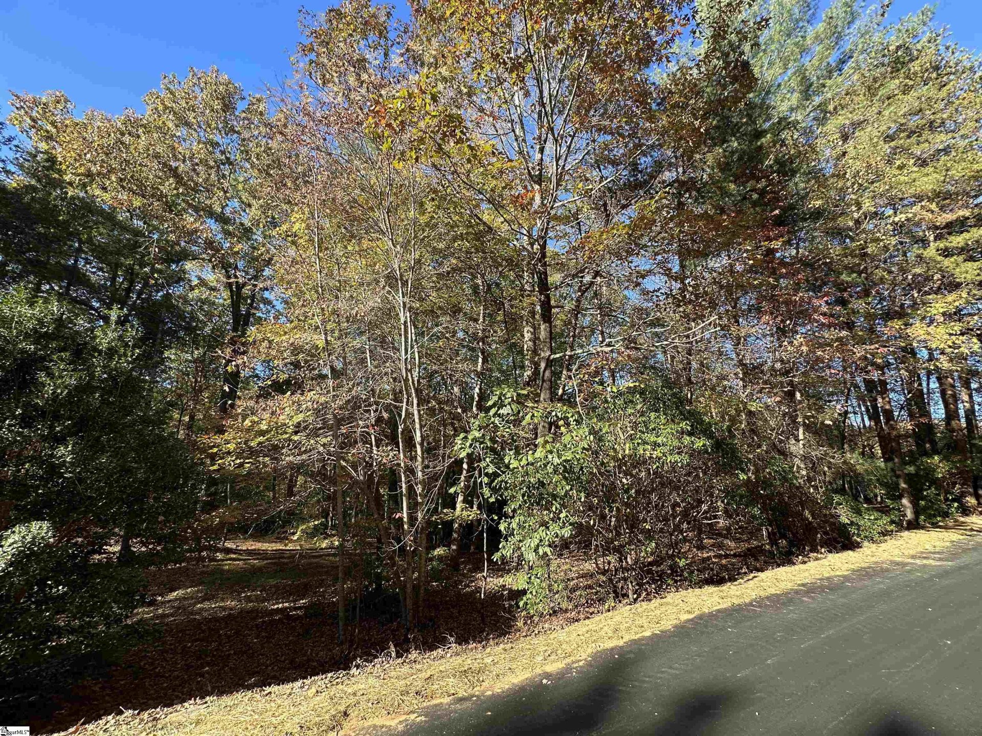 Property image 1 at 100 Passion Flower Way, Sunset, SC 29685