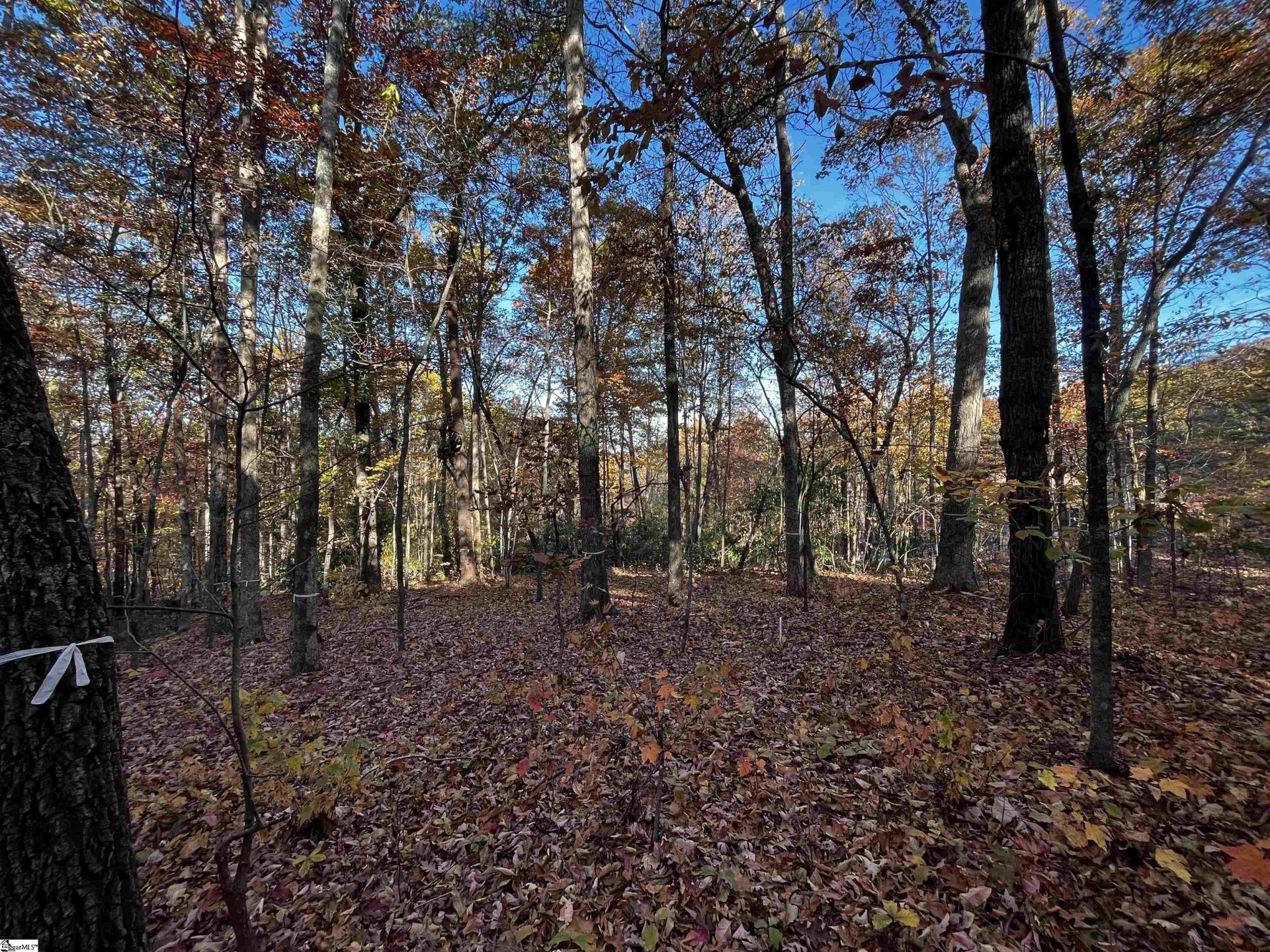 Property image 1 at 14 Alsace Way, Travelers Rest, SC 29690