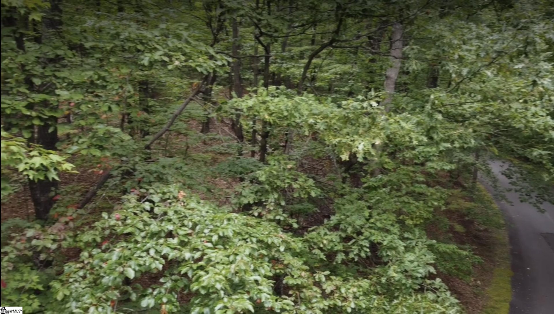 Property image 1 at 124 Birchbend Drive, Cleveland, SC 29635