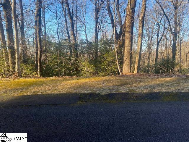 Property image 1 at 405 Cliff Ridge Drive, Cleveland, SC 29635