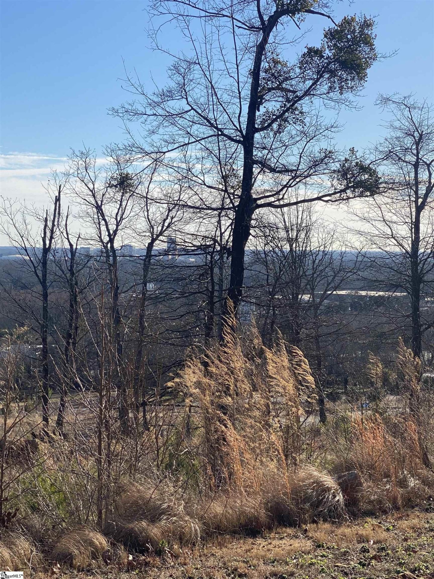 Property image 1 at 11 Rovello Court, Greenville, SC 29609