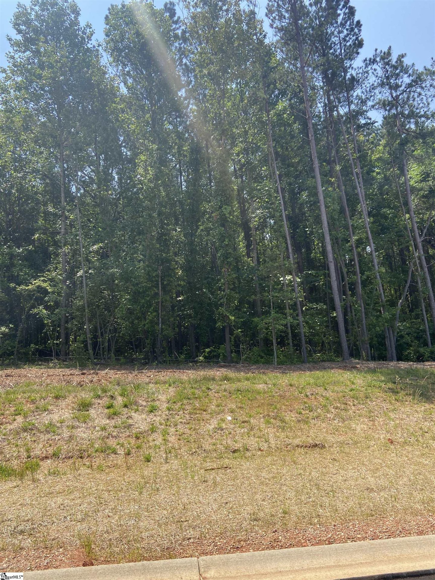 Property image 1 at 116 Rickys Path, Powdersville, SC 29642