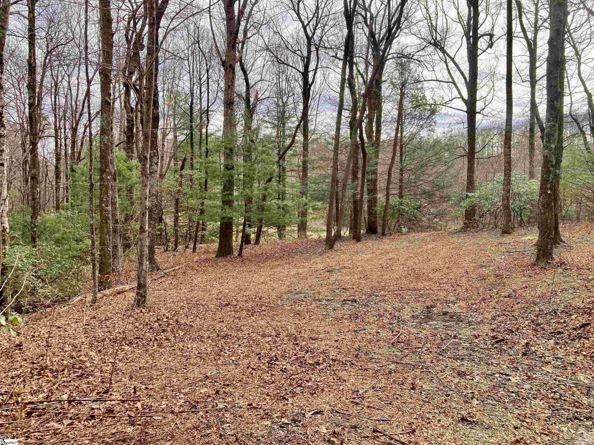 Property at 238 Snap Dragon Way, Landrum, SC 29356