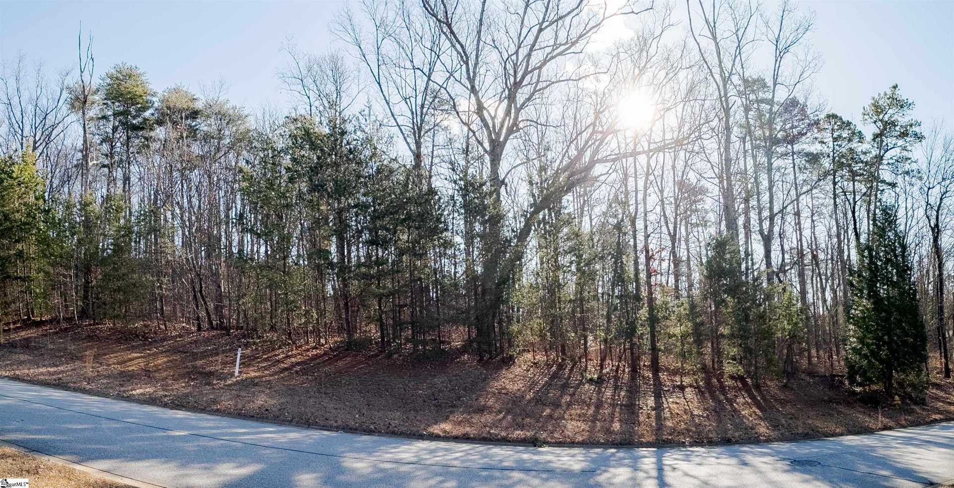 Property image 1 at 14 Donatello Court, Greenville, SC 29609