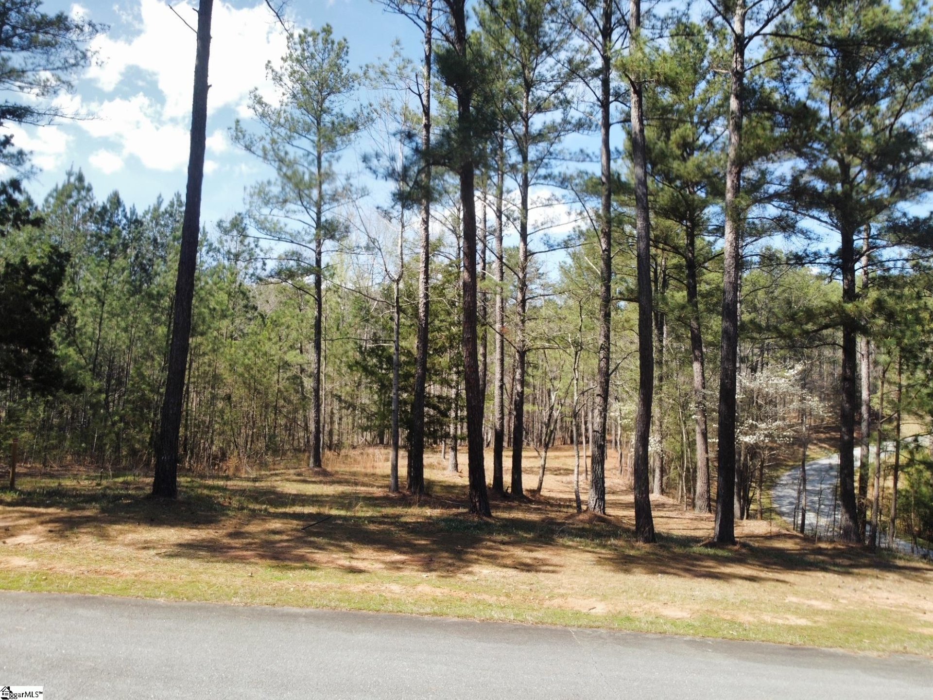 Property image 1 at 100 Northington Court, Sunset, SC 29685