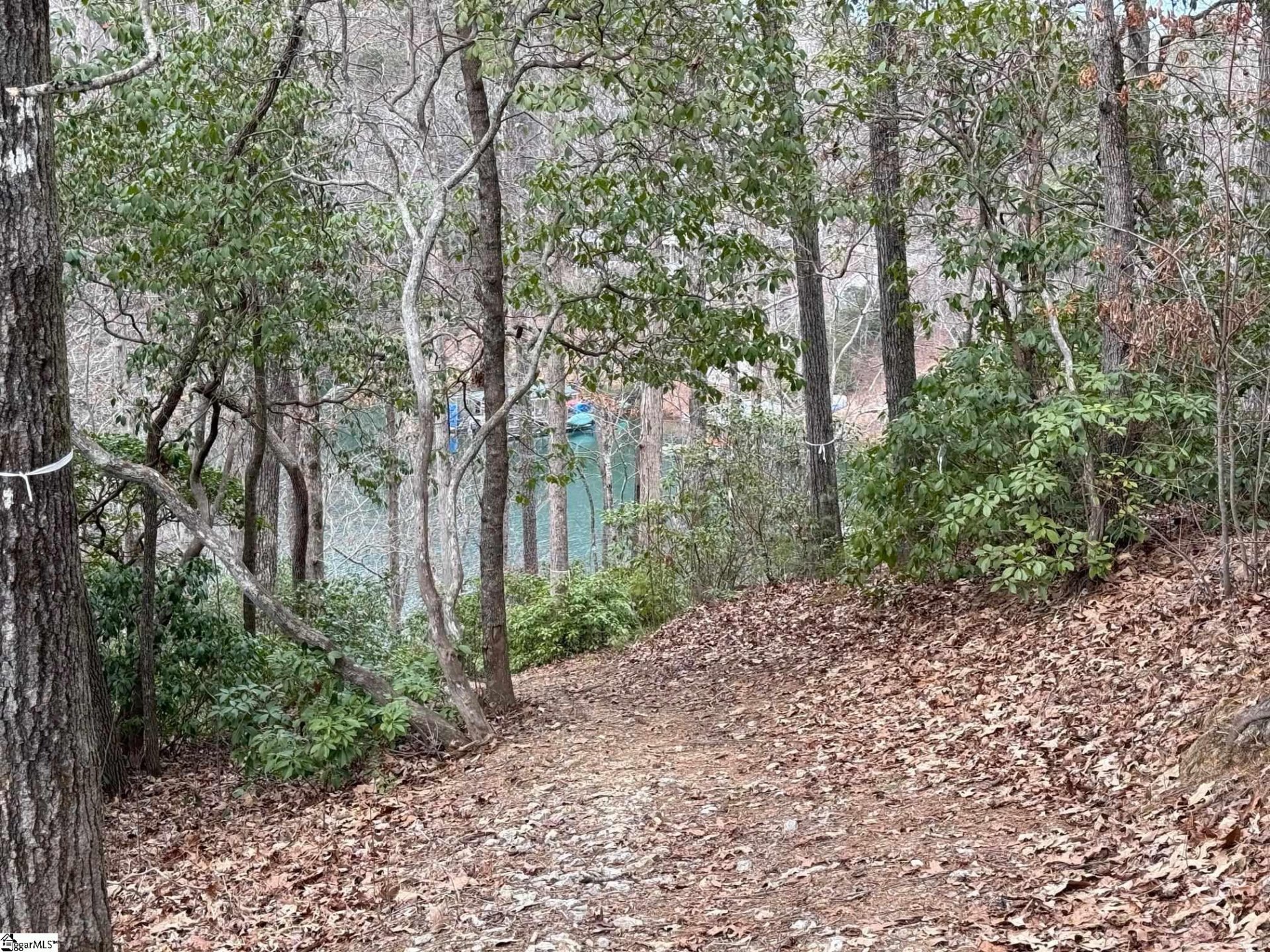 407 Soaring Eagle Way