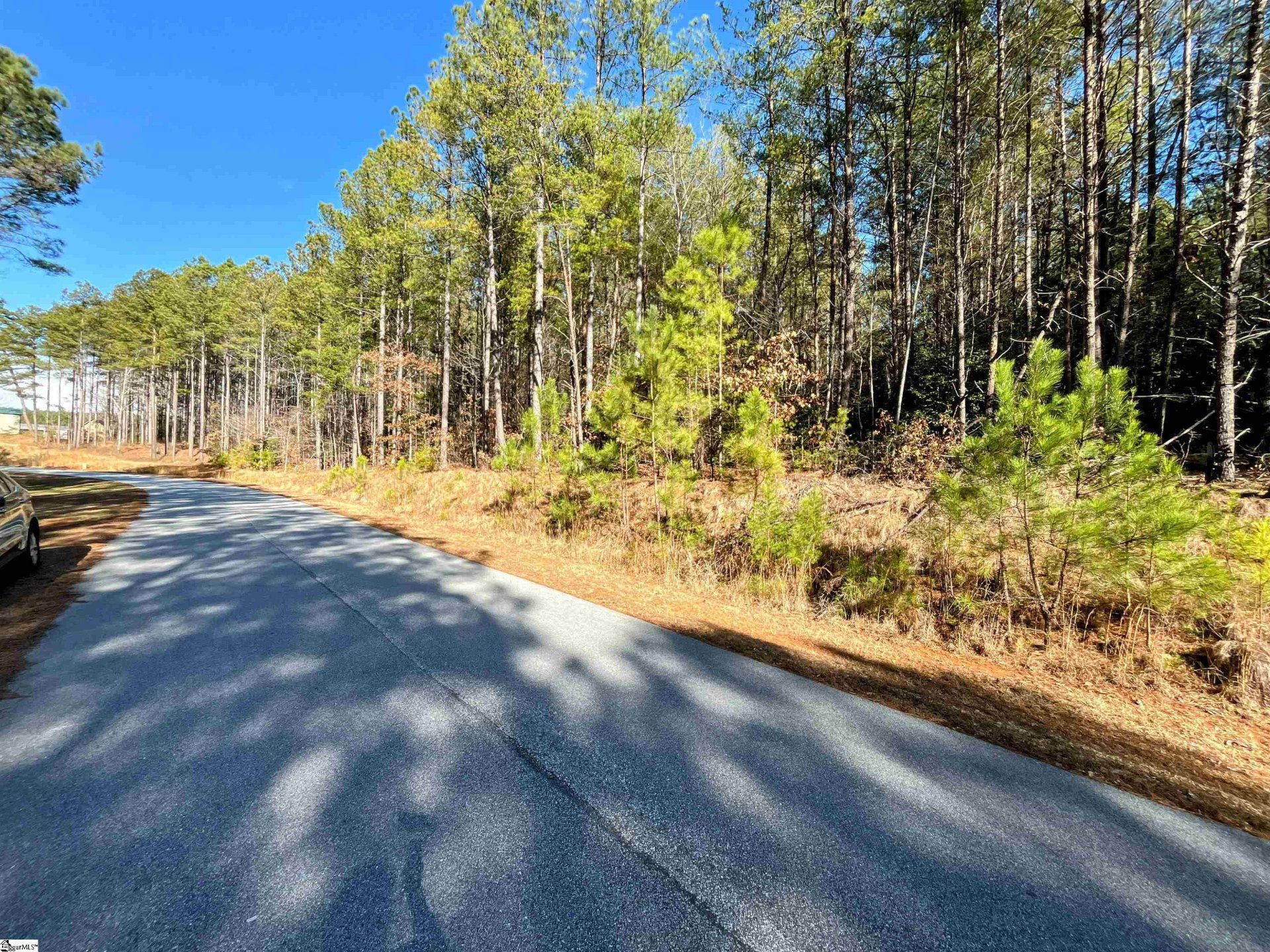 Property image 1 at 1007 Peninsula Pines Drive, West Union, SC 29696