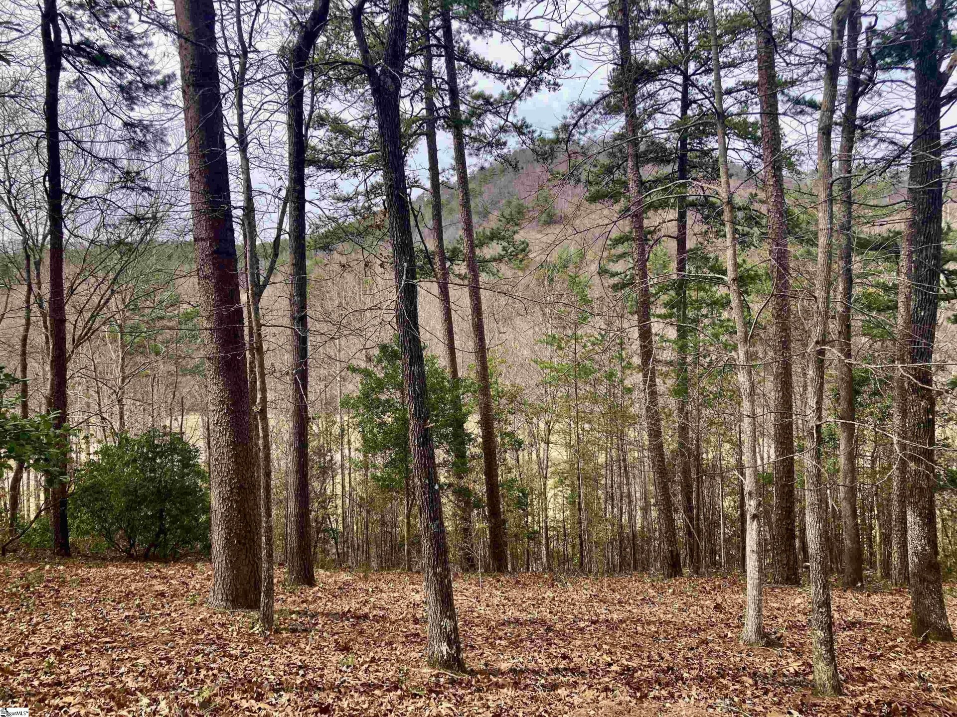 Property image 1 at Augusta Links Trail, Travelers Rest, SC 29690