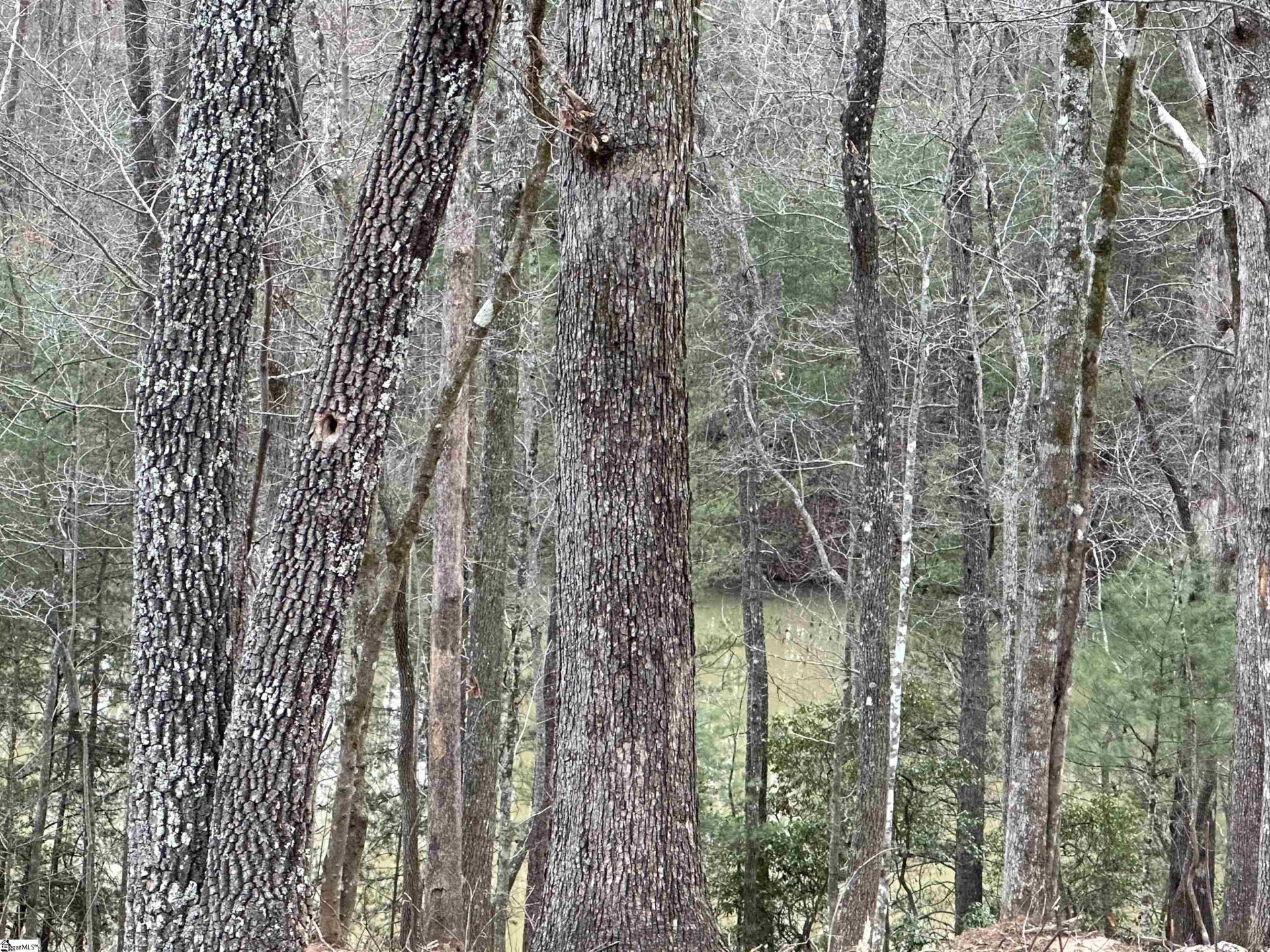 Property image 1 at 211 Luberon Lane, Travelers Rest, SC 29690