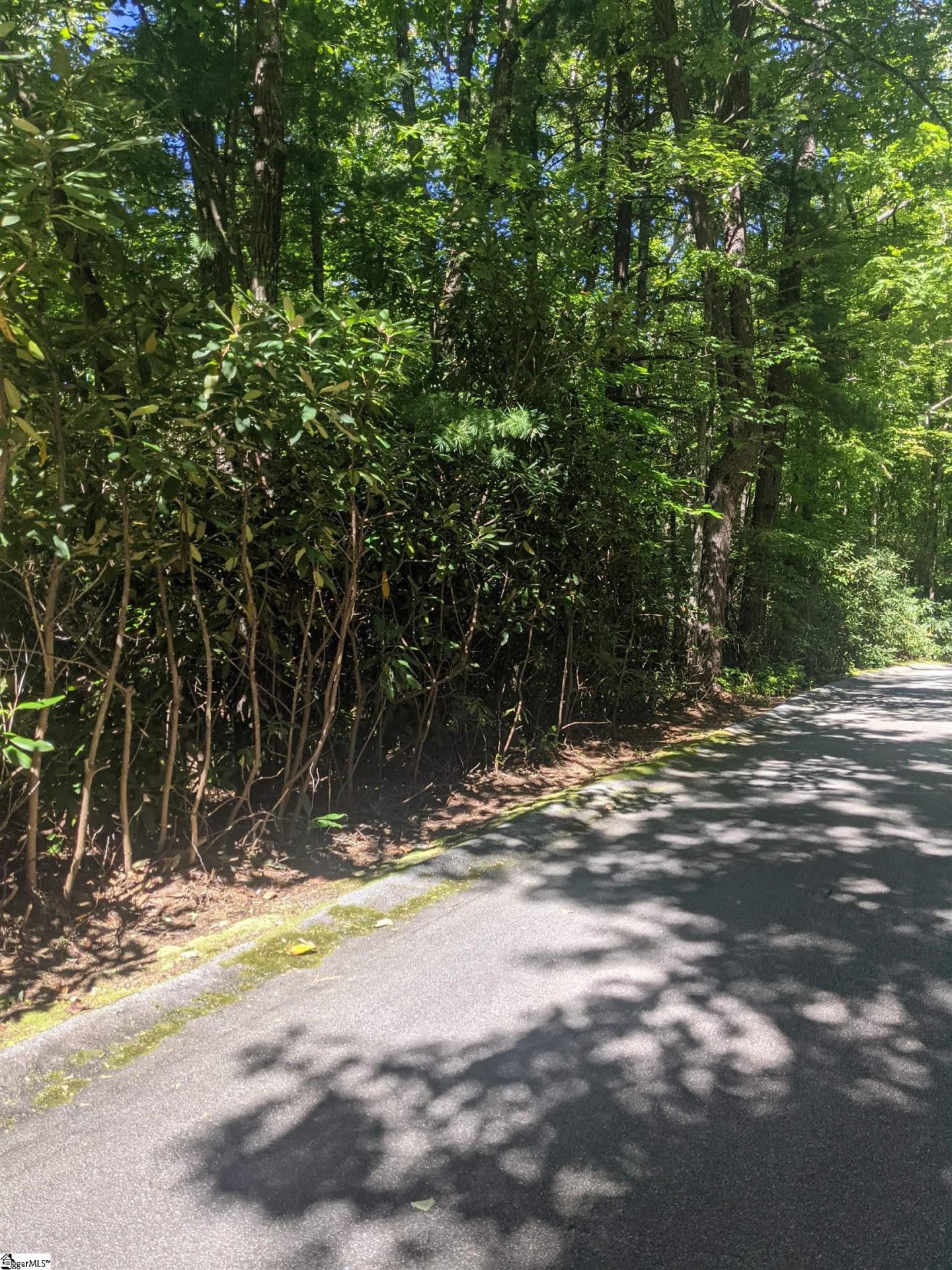 Property image 1 at 111 Rhododendron, Cleveland, SC 29635