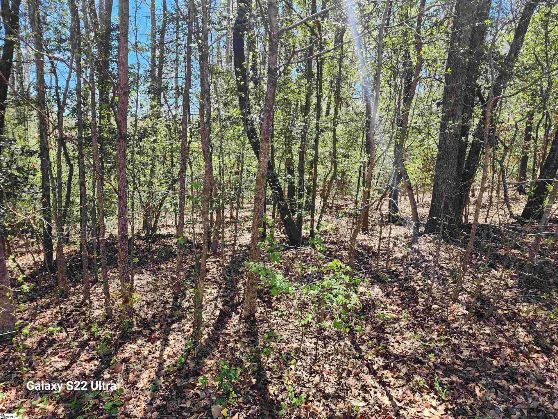 Property image 1 at 1208 Bradford Creek Lane, Taylors, SC 29687