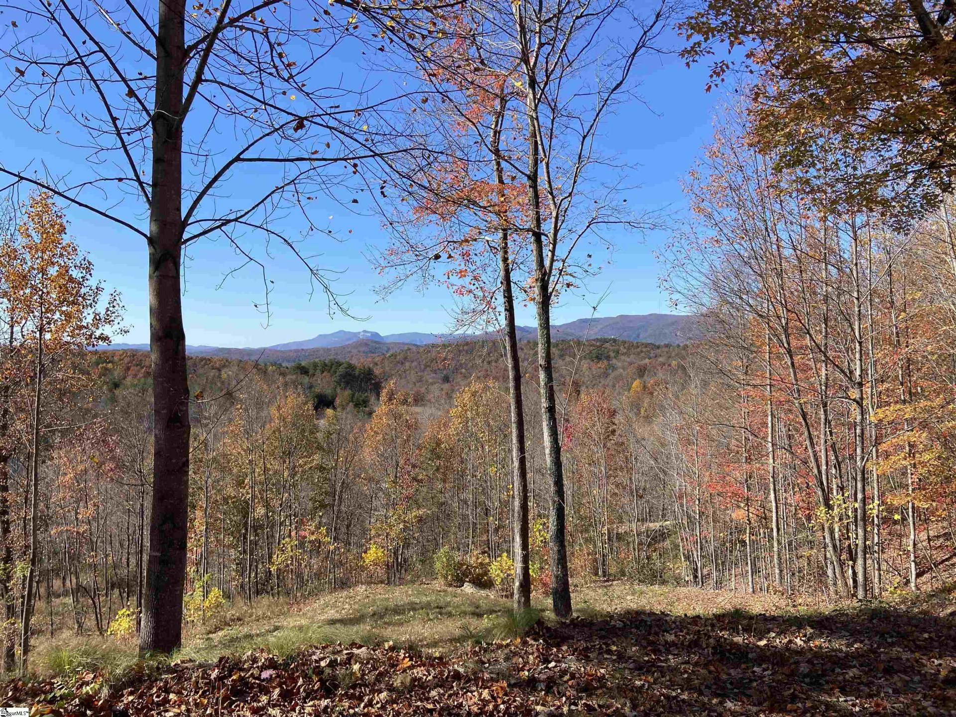 Property at 17 Sweetleaf Court, Marietta, SC 29661