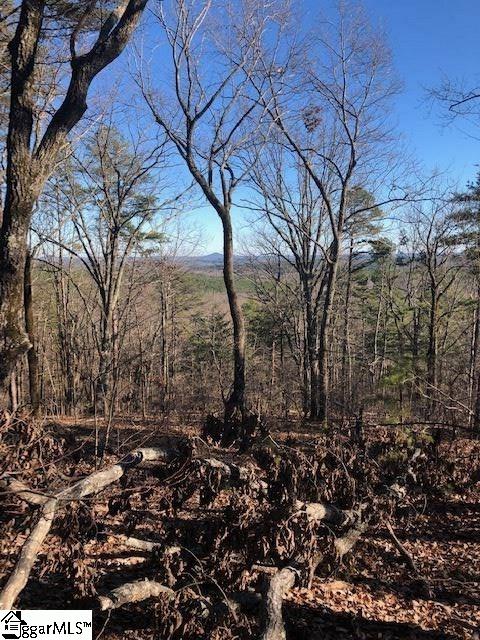 00 Stone Terrace Way