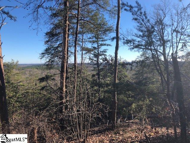 Property image 1 at 00 Stone Terrace Way, Salem, SC 29676