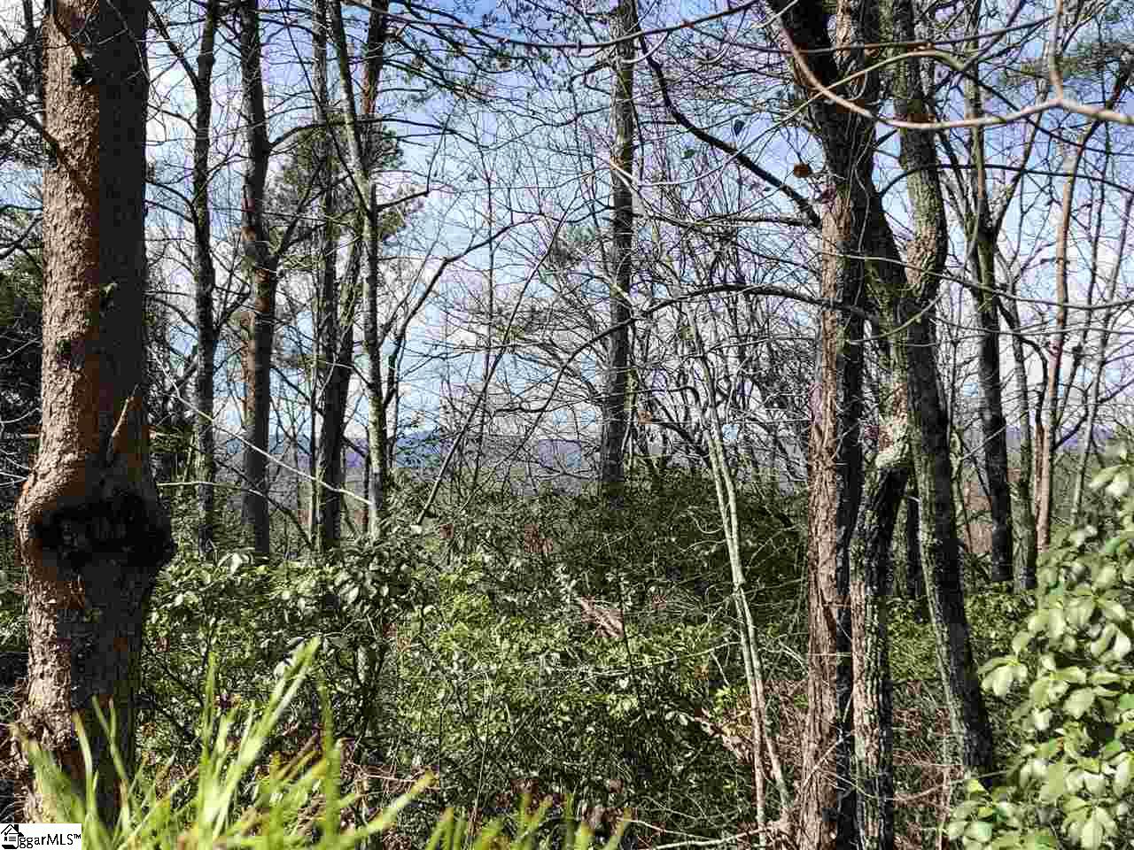 Property image 1 at 00 Stone Terrace Way, Salem, SC 29676