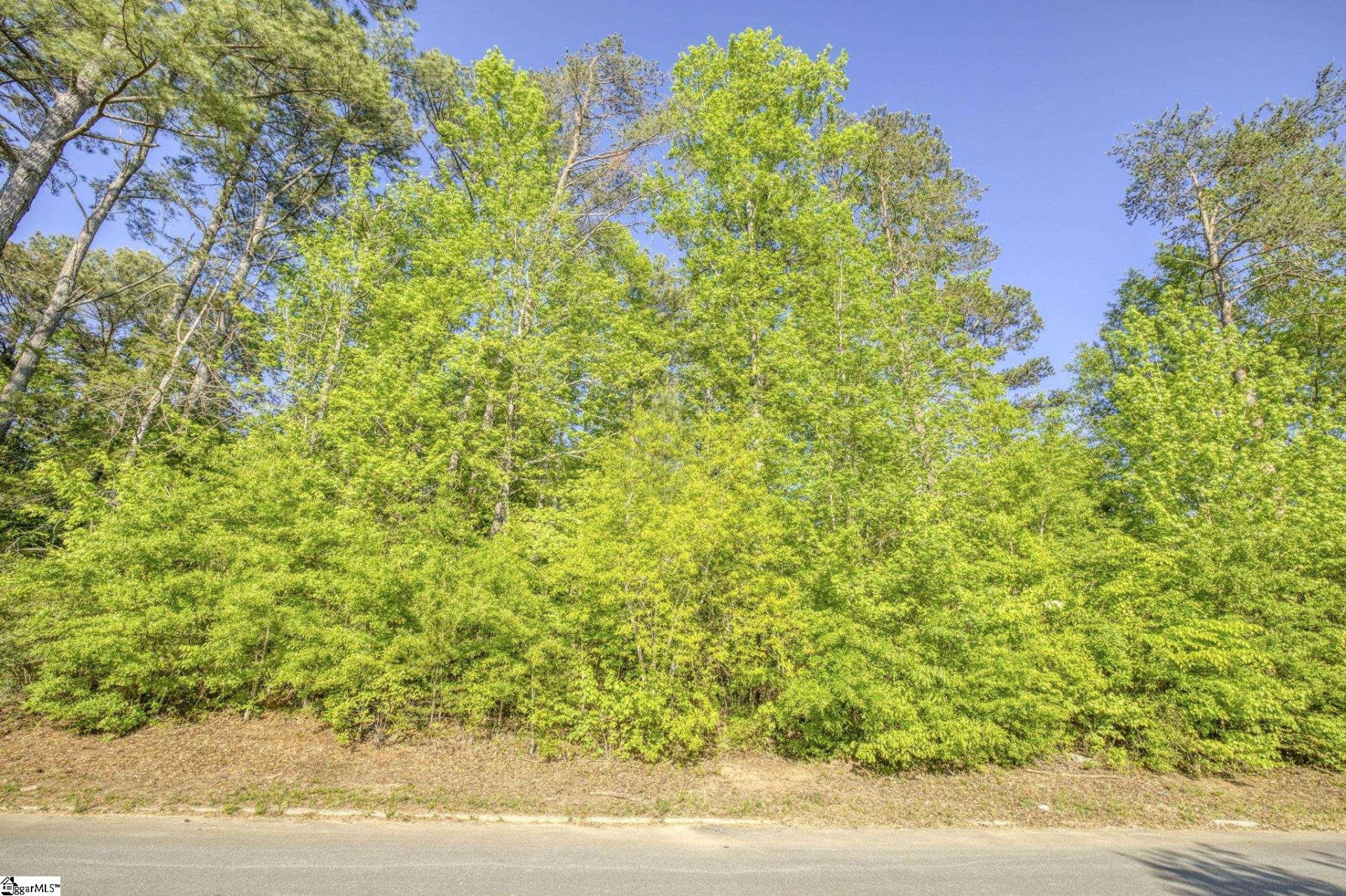 Property image 1 at 112 Buckingham Road, Easley, SC 29640-9999
