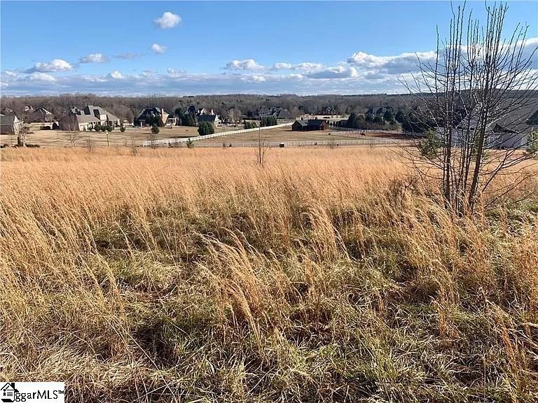 Property image 1 at 208 Chestnut Springs Way, Williamston, SC 29697