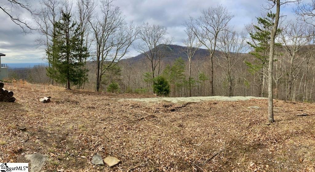 Property at 16 Heather Hill Lane, Landrum, SC 29356