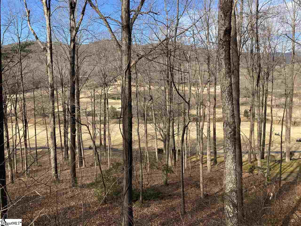 Property at 115 Foxboro Road, Travelers Rest, SC 29690