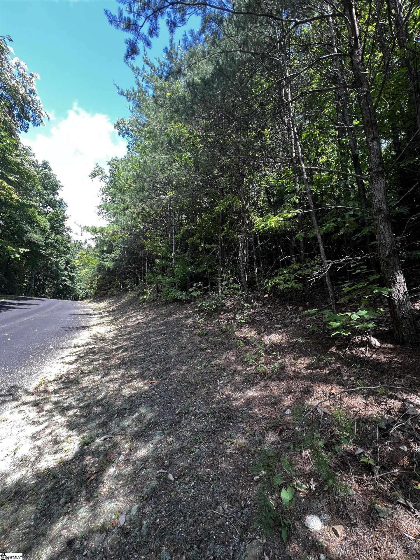 Property at 18 High Cliffe Way, Landrum, SC 29356